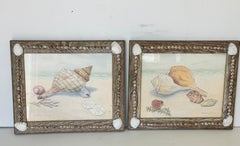 Pair Sea Shell Watercolors in Sea Shell Frames