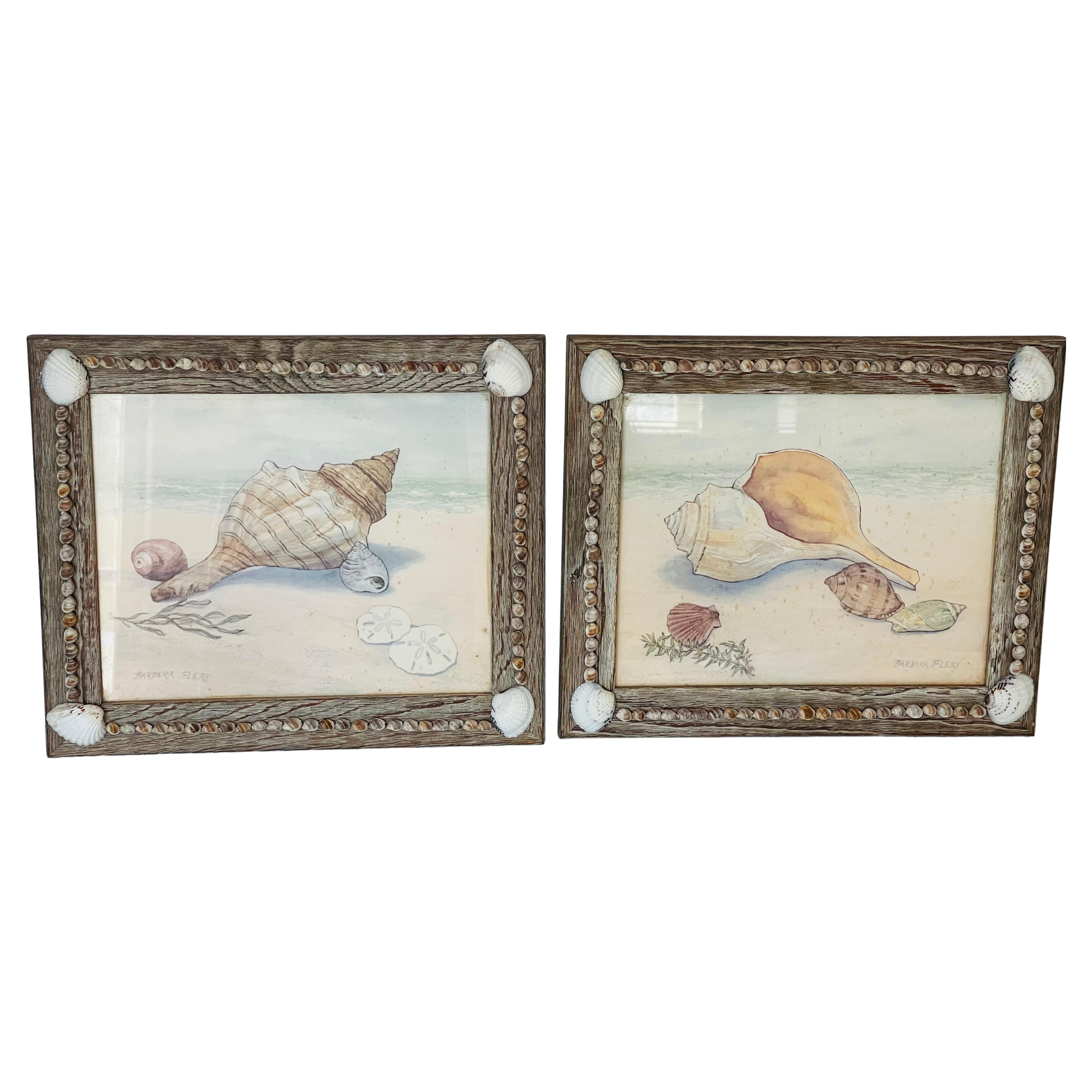 Pair Sea Shell Watercolors in Sea Shell Frames For Sale