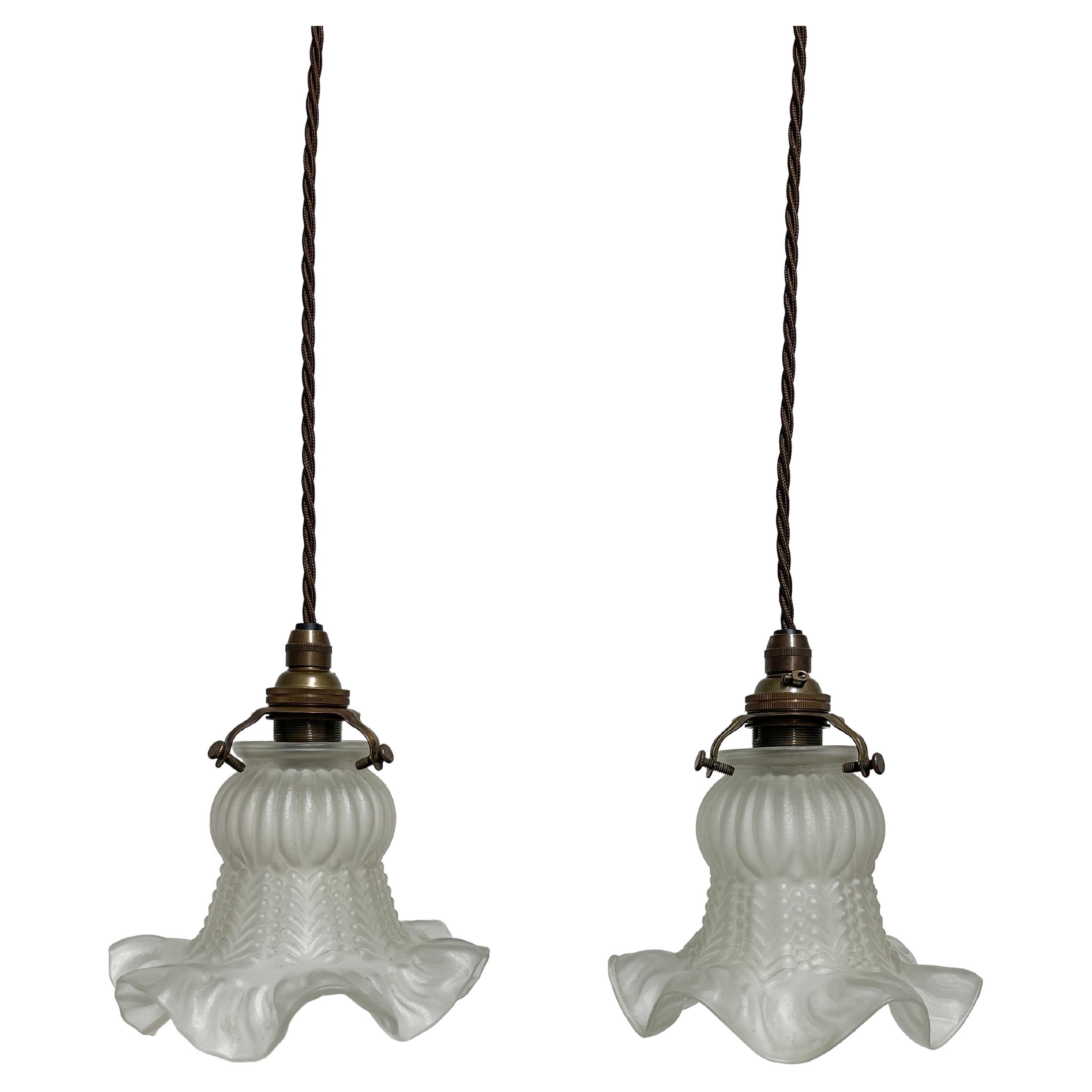 Paire de plafonniers à fleurs en verre dépoli français d'antiquités, lampe à suspension