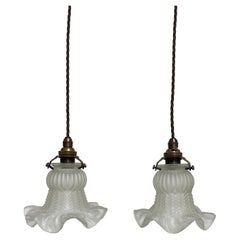 Pair Set Antique Vintage French Frosted Glass Floral Ceiling Pendants Light Lamp