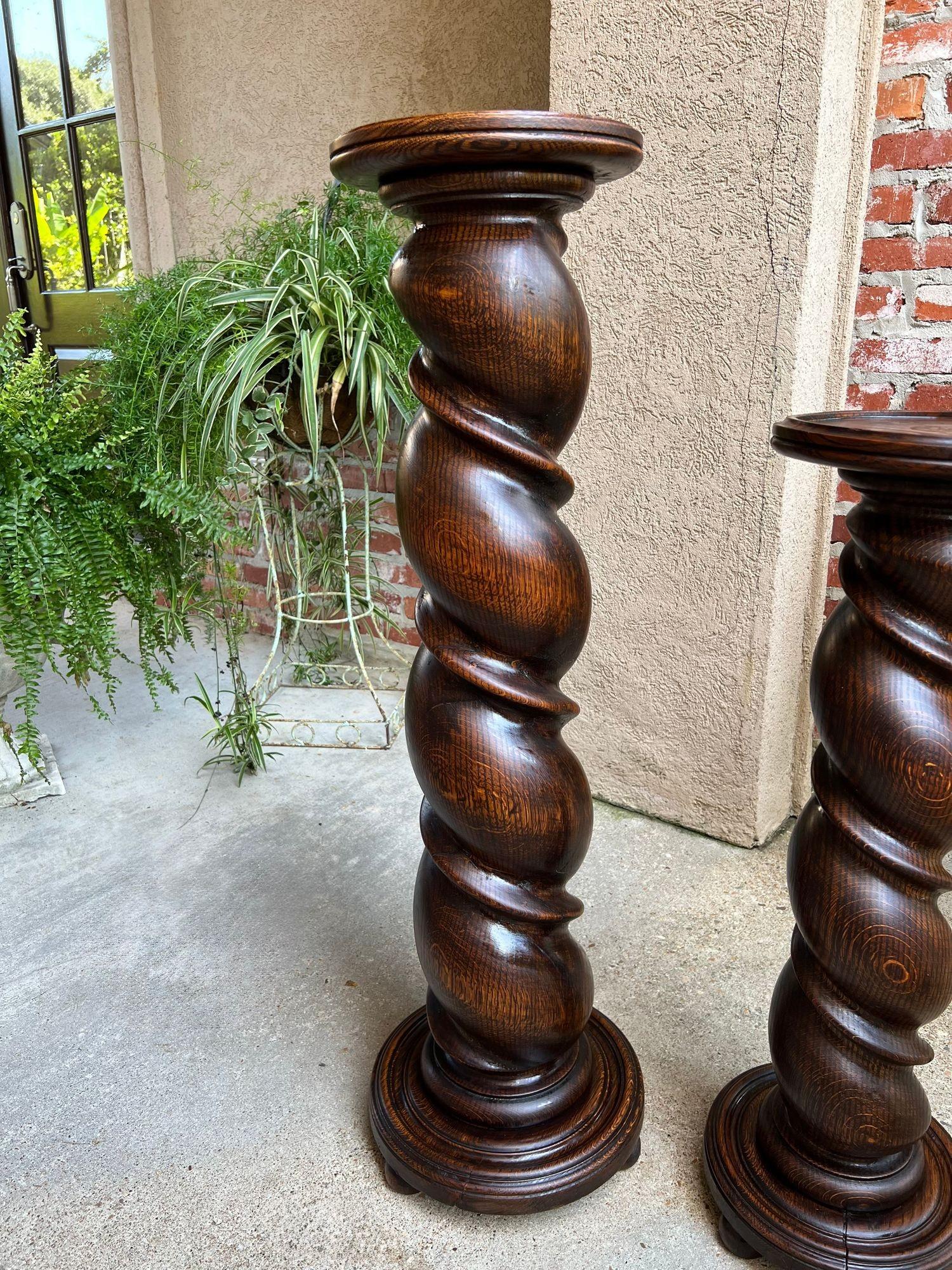 PAAR Satz von 2 Antique French Pedestal Stand BARLEY TWIST Oak LARGE Plant Columns (19. Jahrhundert) im Angebot