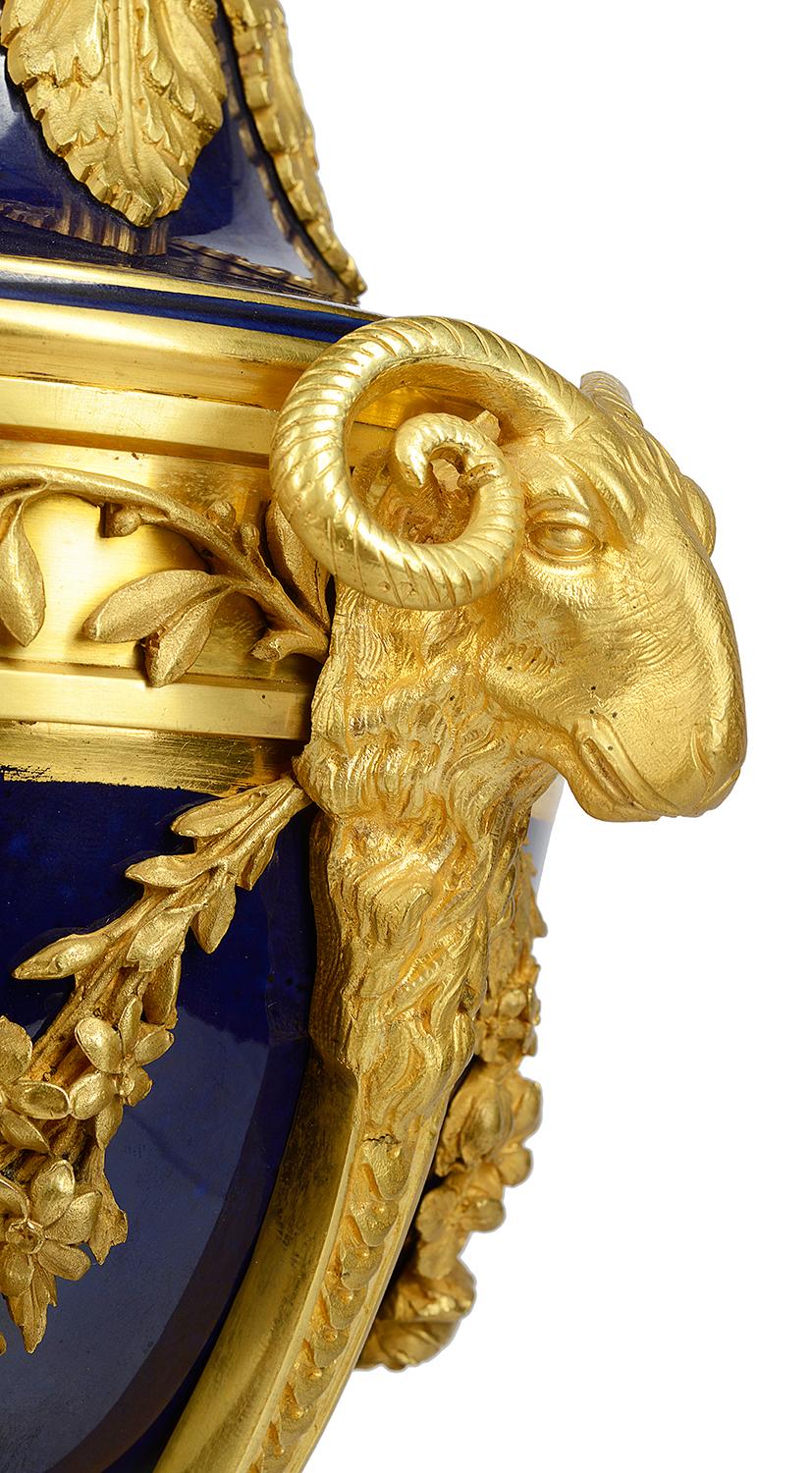French Pair Sevres Style Porcelain and Ormolu Urns