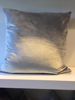 Pair of Silk Velvet Cushion Color Ice Green