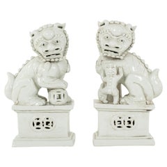 Pair Sitting Blanc de Chine Fu Dogs