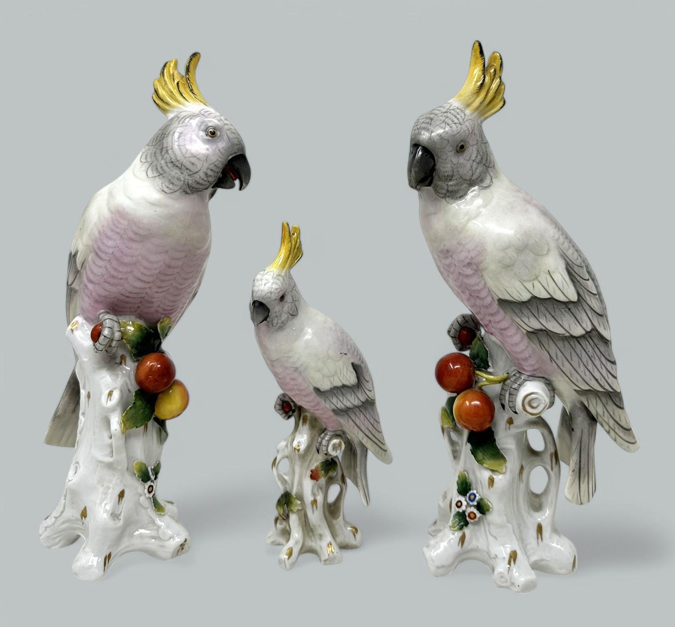 Victorien Paire de porcelaines allemandes Sitzendorf Birds Parakeets Cockrels Cockatoos Parrots 19Ct