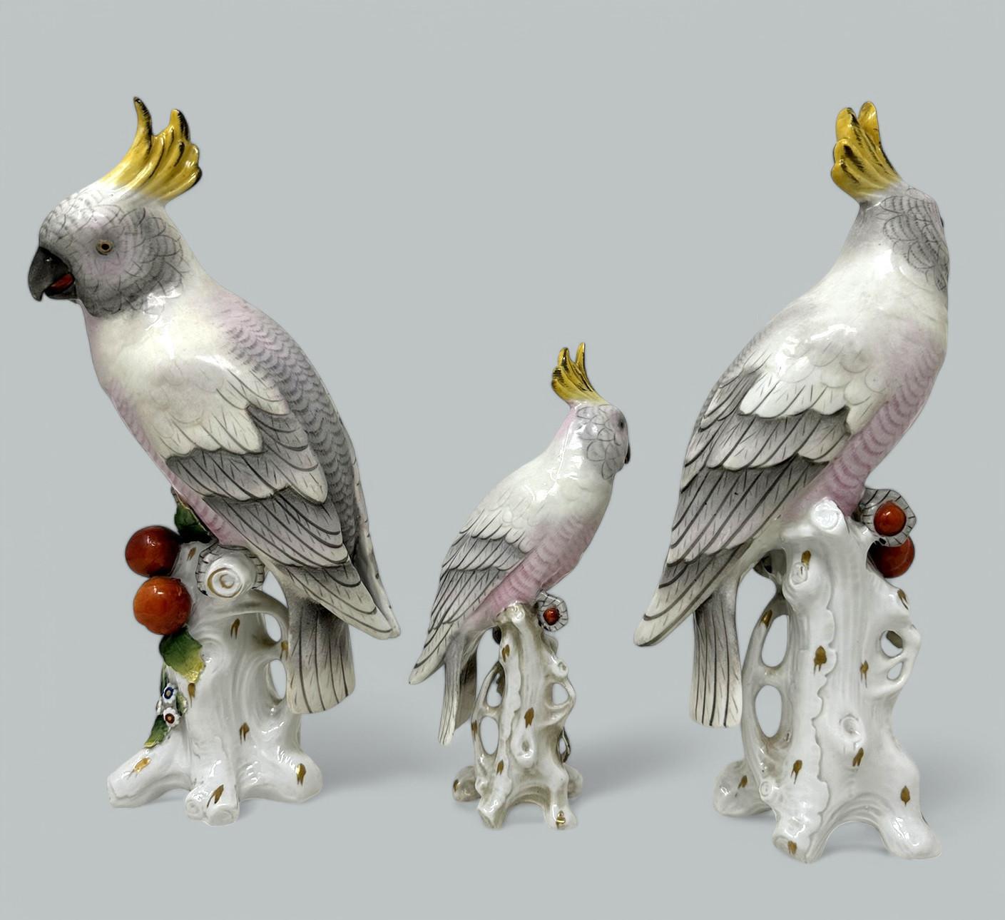 Allemand Paire de porcelaines allemandes Sitzendorf Birds Parakeets Cockrels Cockatoos Parrots 19Ct