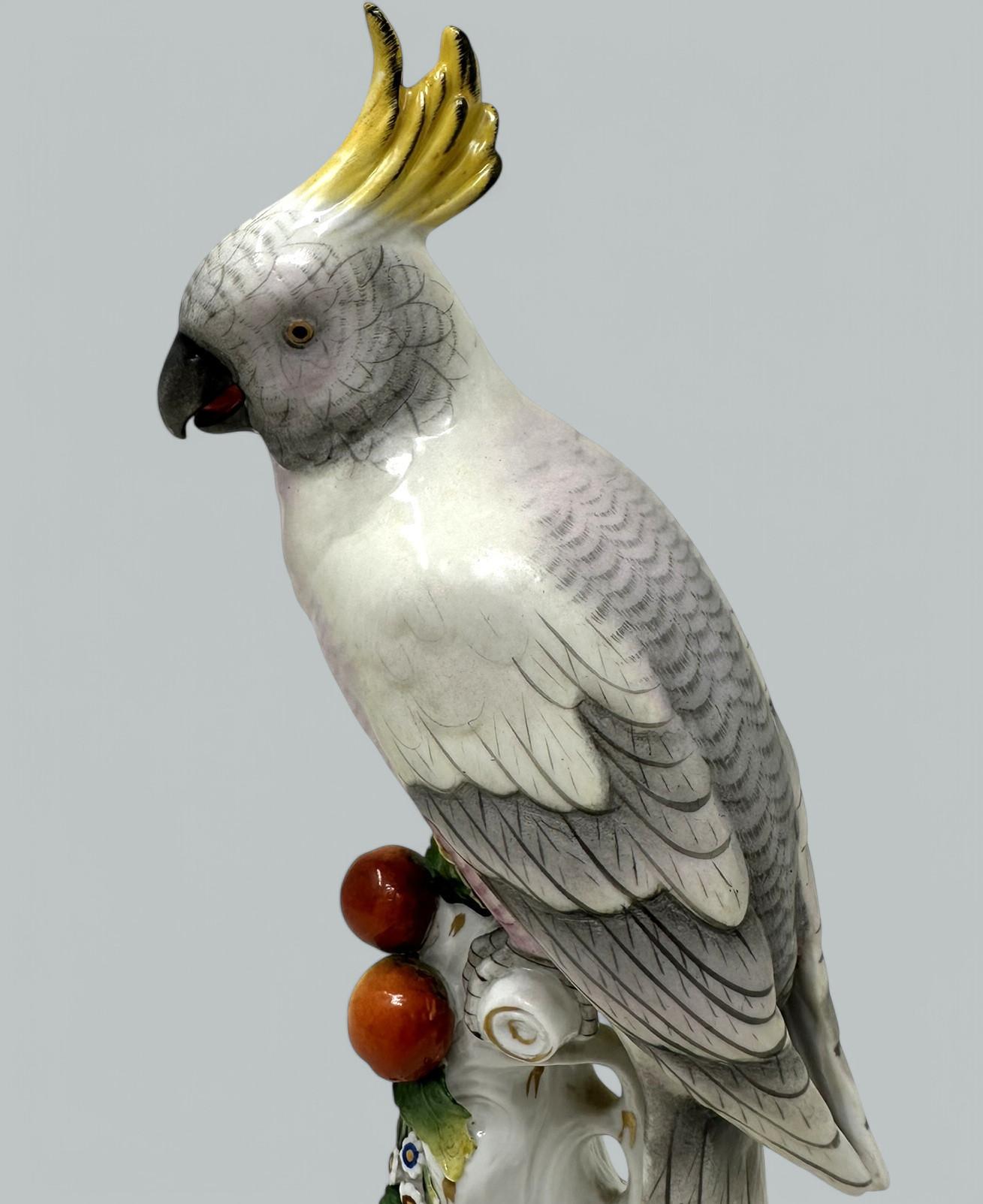 Peint à la main Paire de porcelaines allemandes Sitzendorf Birds Parakeets Cockrels Cockatoos Parrots 19Ct