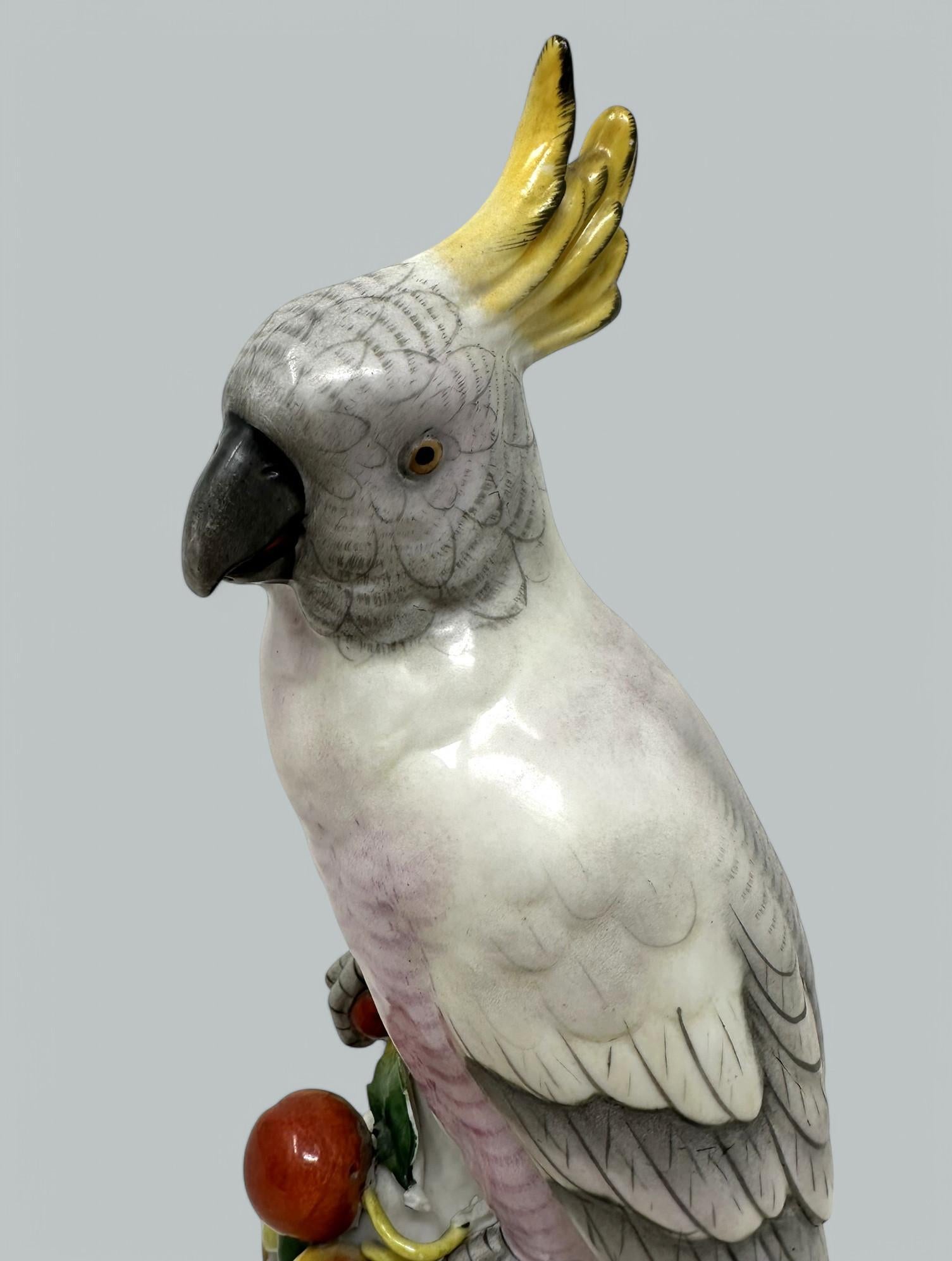 Paire de porcelaines allemandes Sitzendorf Birds Parakeets Cockrels Cockatoos Parrots 19Ct Bon état à Dublin, Ireland