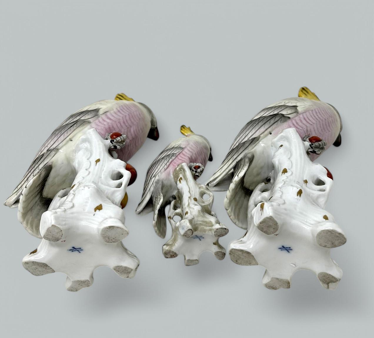 XVIIIe siècle et antérieur Paire de porcelaines allemandes Sitzendorf Birds Parakeets Cockrels Cockatoos Parrots 19Ct
