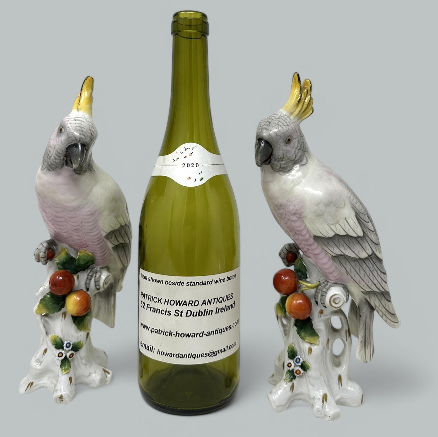 Paire de porcelaines allemandes Sitzendorf Birds Parakeets Cockrels Cockatoos Parrots 19Ct 1