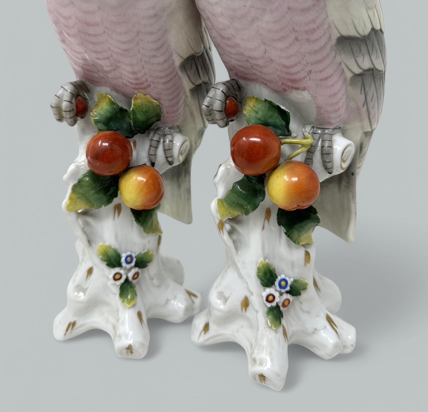 Porcelaine Paire de porcelaines allemandes Sitzendorf Birds Parakeets Cockrels Cockatoos Parrots 19Ct