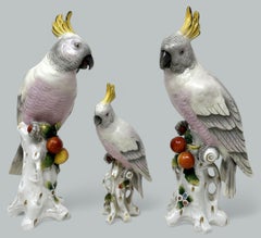 Par Sitzendorf Porcelana Alemana Pájaros Periquitos Cacatúas Cacatúas Loros 19Ct