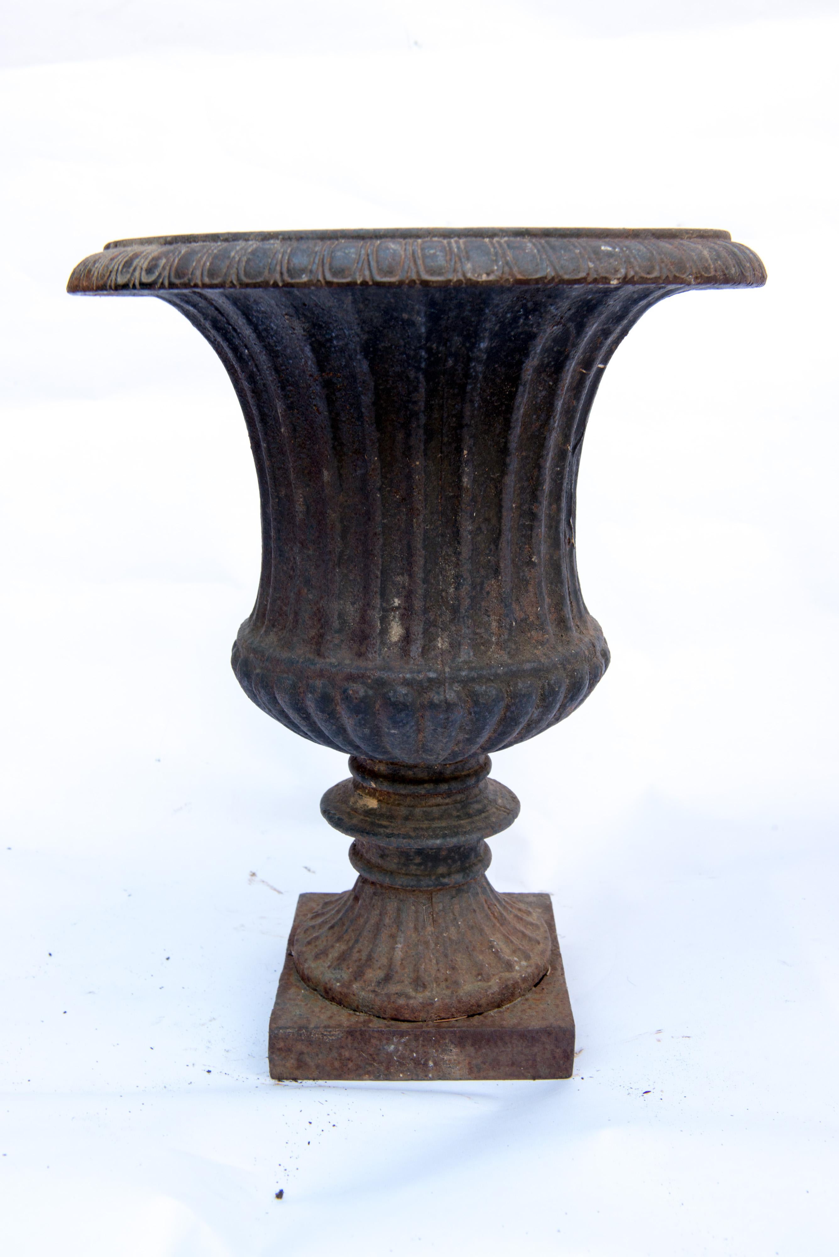 Late 19th Century Pair Small Antique Black Classical Fluted Cast Iron Urns or Planters