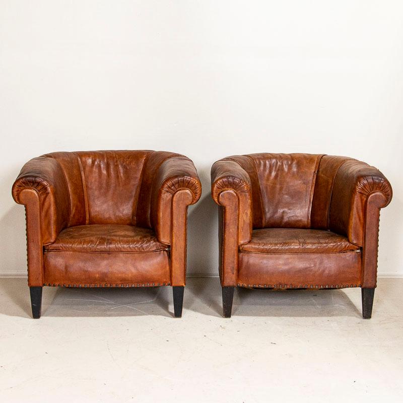 Vintage leather club chairs are sought after these days for those seeking to add an aged element to a modern home. These chairs will do just that; they are scaled on the small side so will fit in a variety of settings. This pair shows signs of age