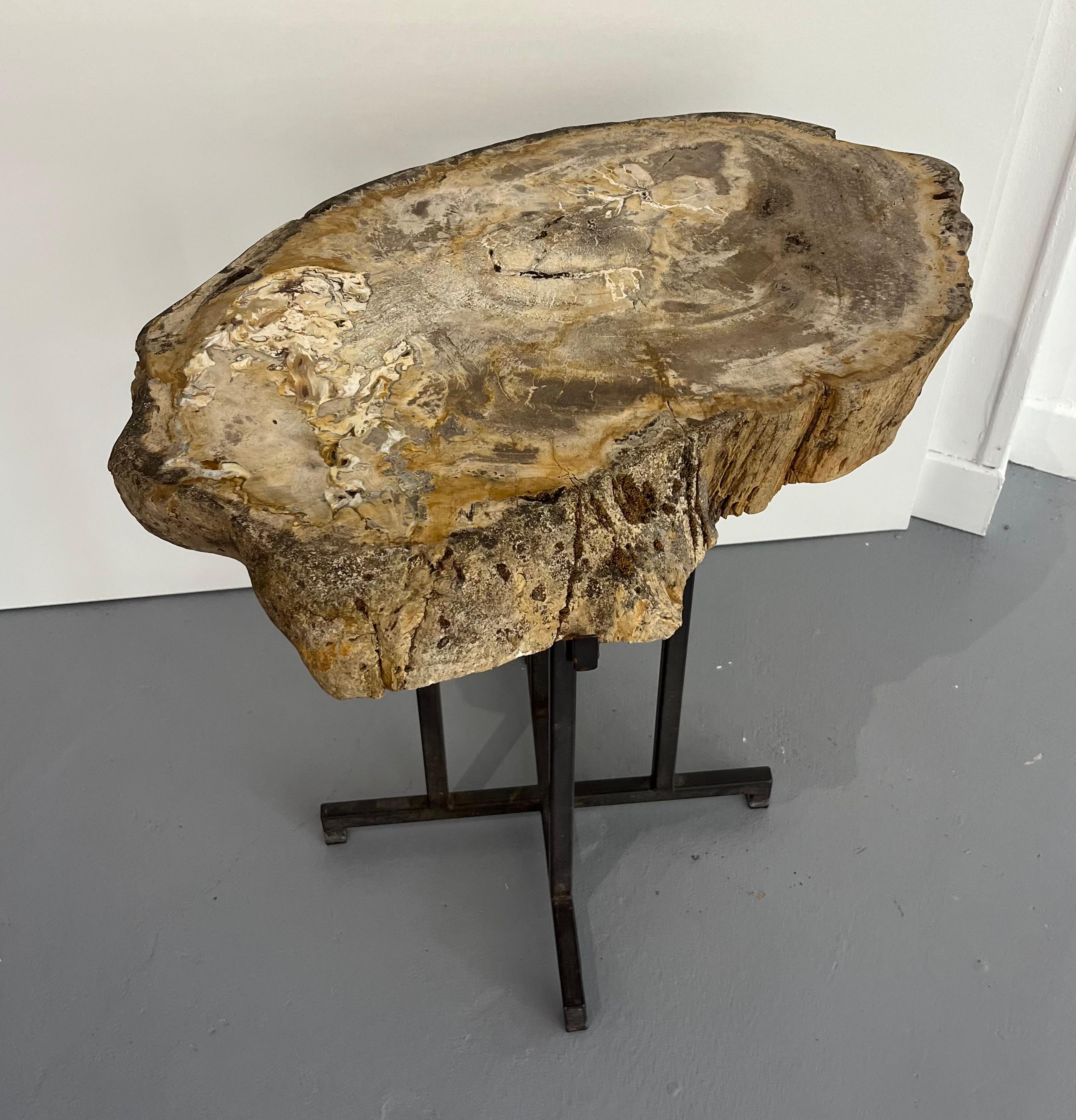 Pair Sofa Table or Coffee Tables Thick Petrified Wood Top adjustable metal Base For Sale 6