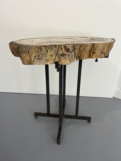 Organic Modern Coffee Tables, Polished Petrified Wood, Iron Base, 1970