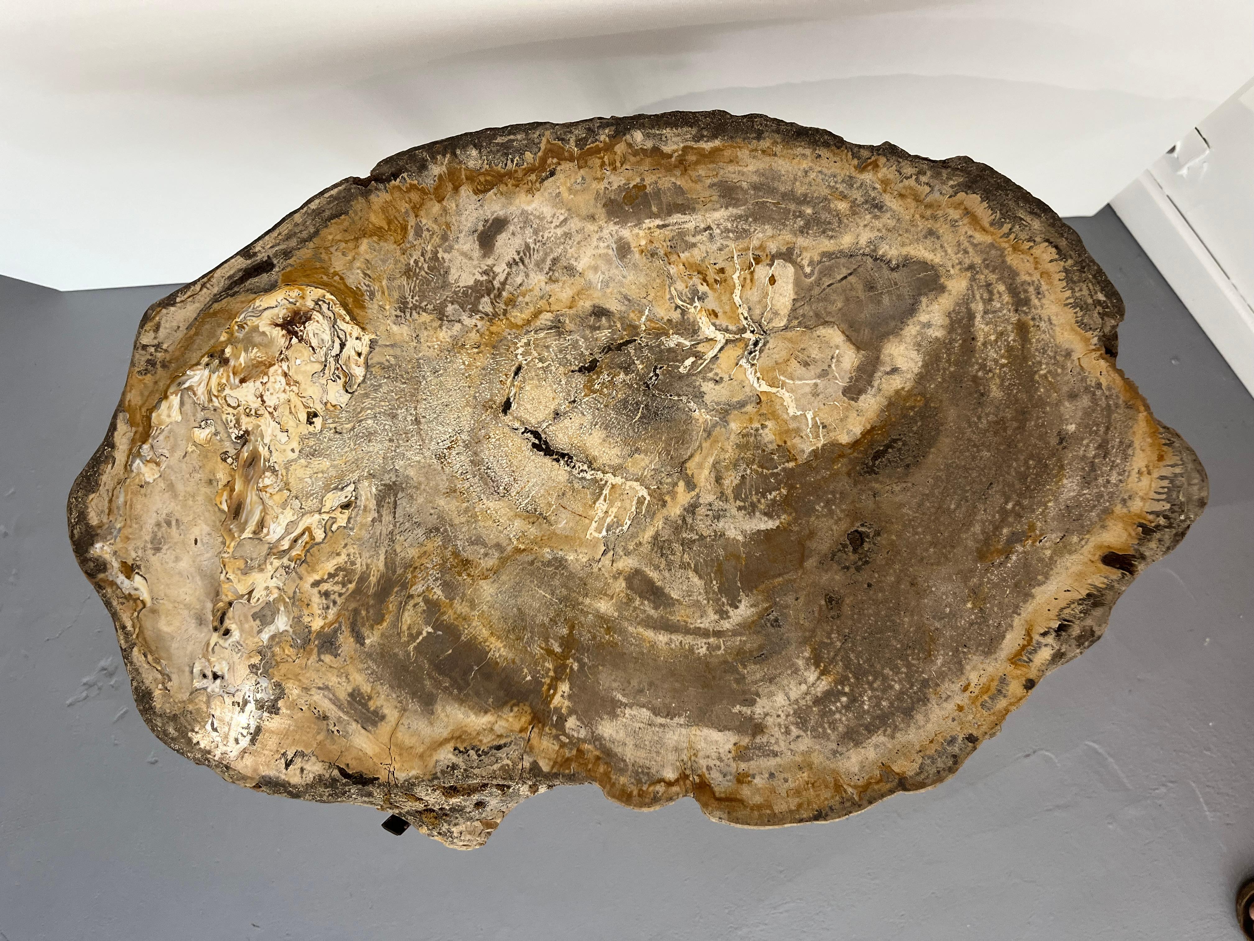 Belgian Pair Sofa Table or Coffee Tables Thick Petrified Wood Top adjustable metal Base For Sale