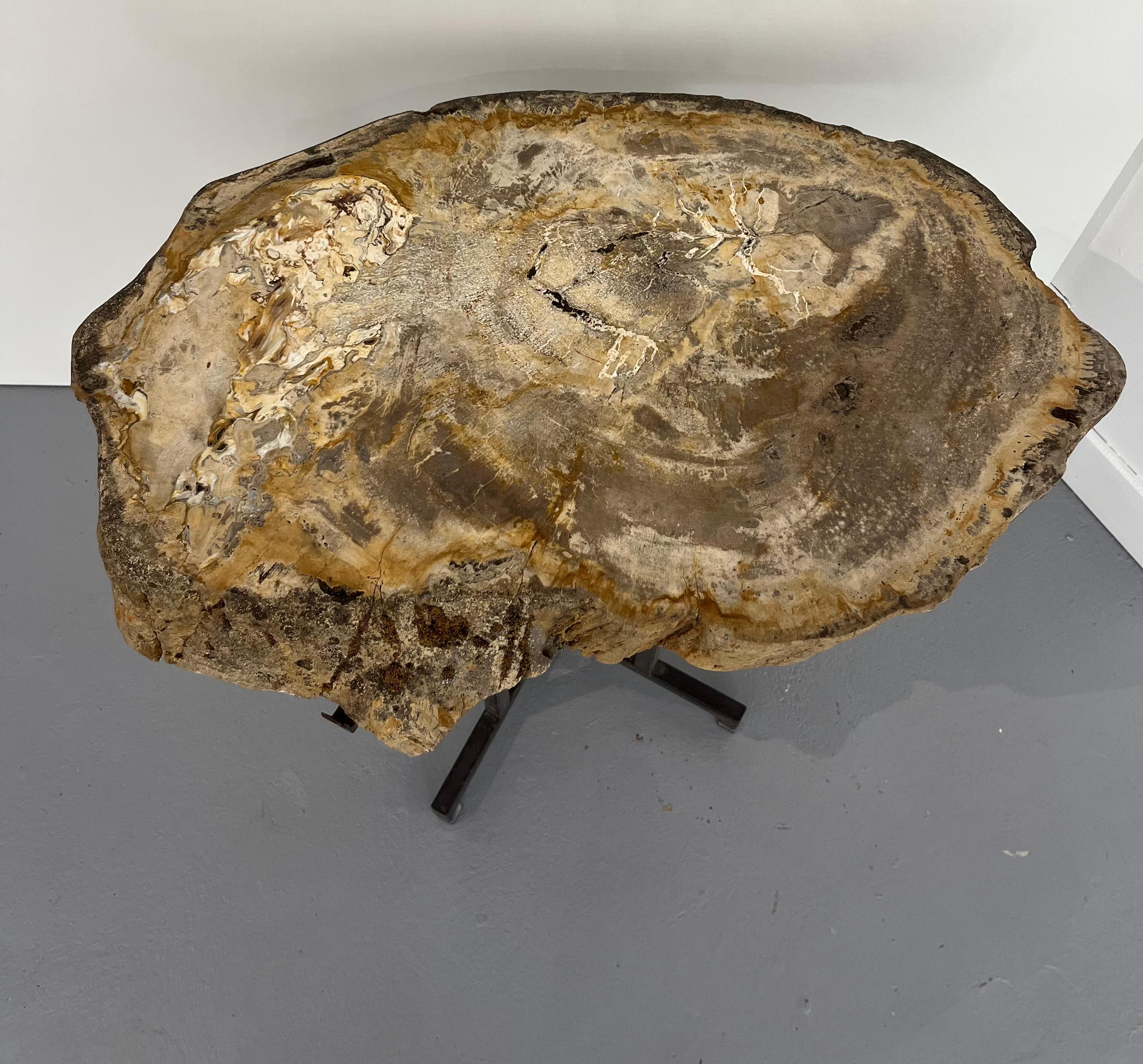 Contemporary Pair Sofa Table or Coffee Tables Thick Petrified Wood Top adjustable metal Base For Sale
