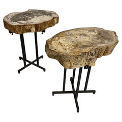 Pair Sofa Table or Coffee Tables Thick Petrified Wood Top adjustable metal Base