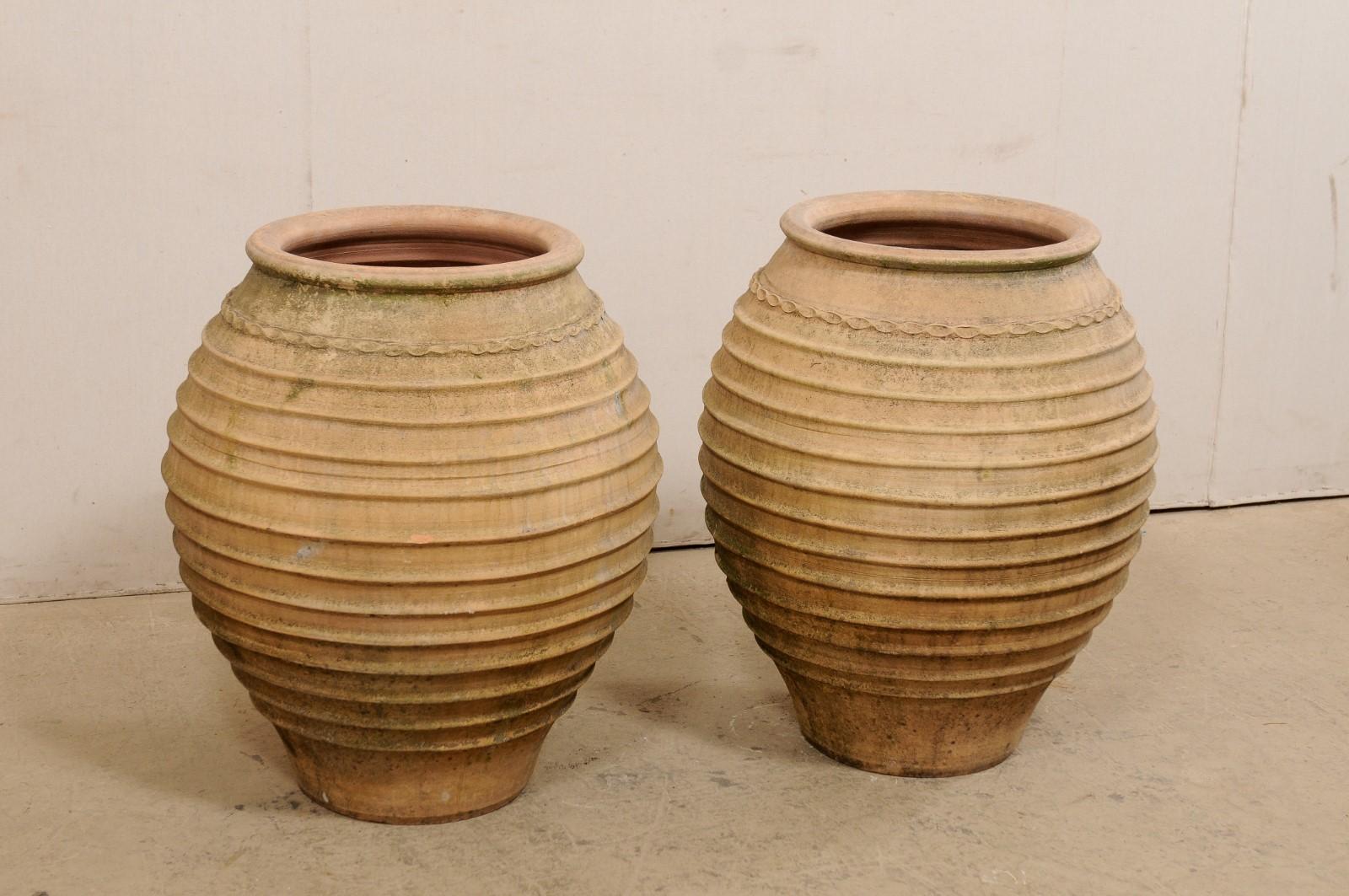 terracotta bulb pots