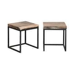Pair Square-Shaped Petrified Wood Top & Iron Frame Side Tables