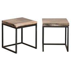 Pair Square-Shaped Petrified Wood Top
Iron Frame Side Tables