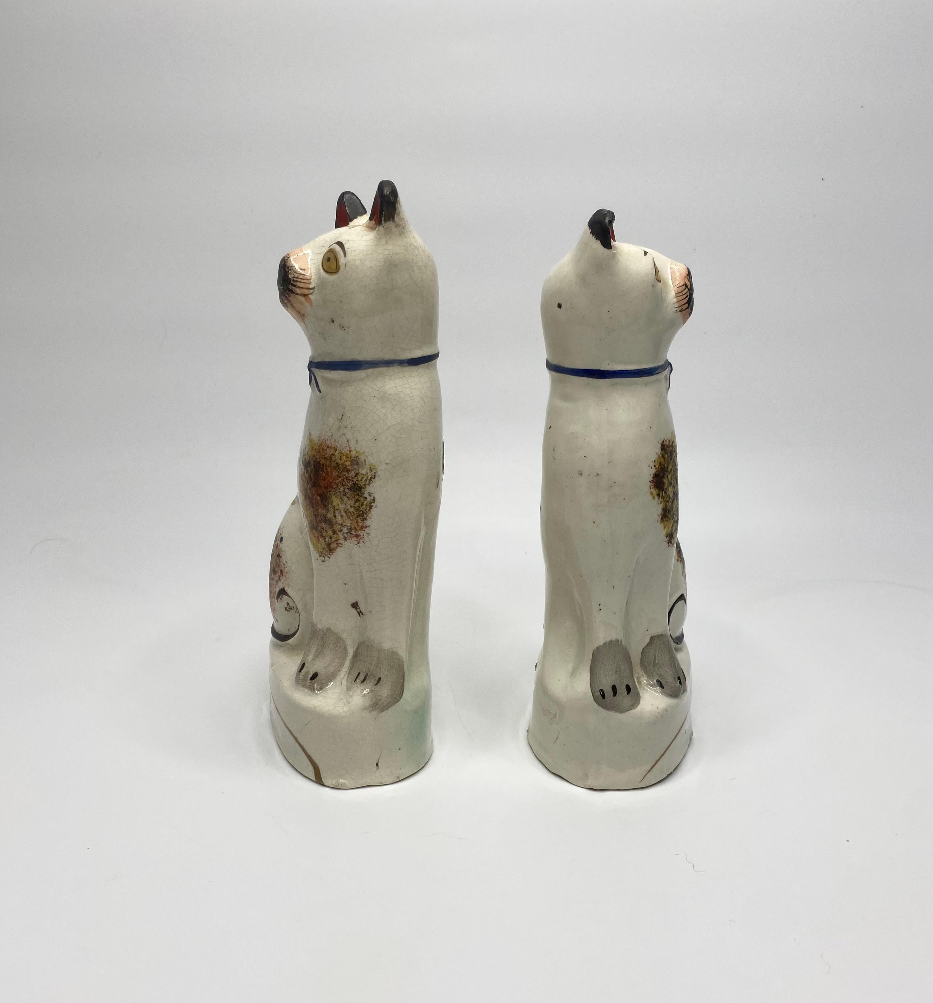 Pair of unusual Staffordshire pottery cats, c. 1860. Modelled as two seated cats, with amusing expressions on their faces. Hand painted with tortoiseshell markings, yellow eyes, curled black tails, and wearing blue collars.
Set upon oval bases, with