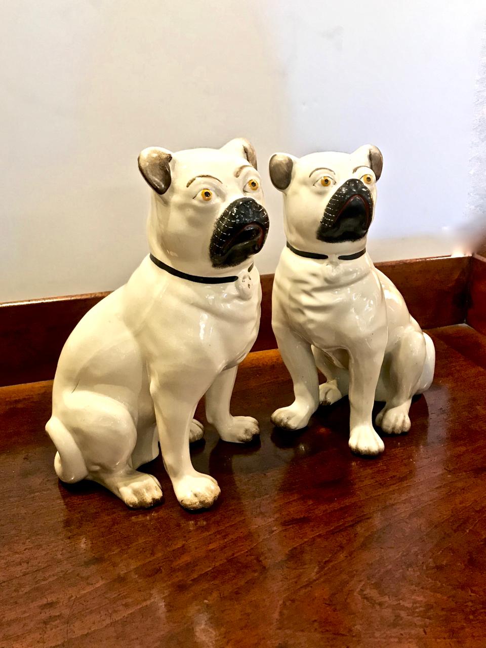 staffy pug