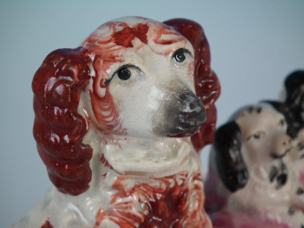 Pair of Staffordshire Spaniel and Pups in Wash Basket 5