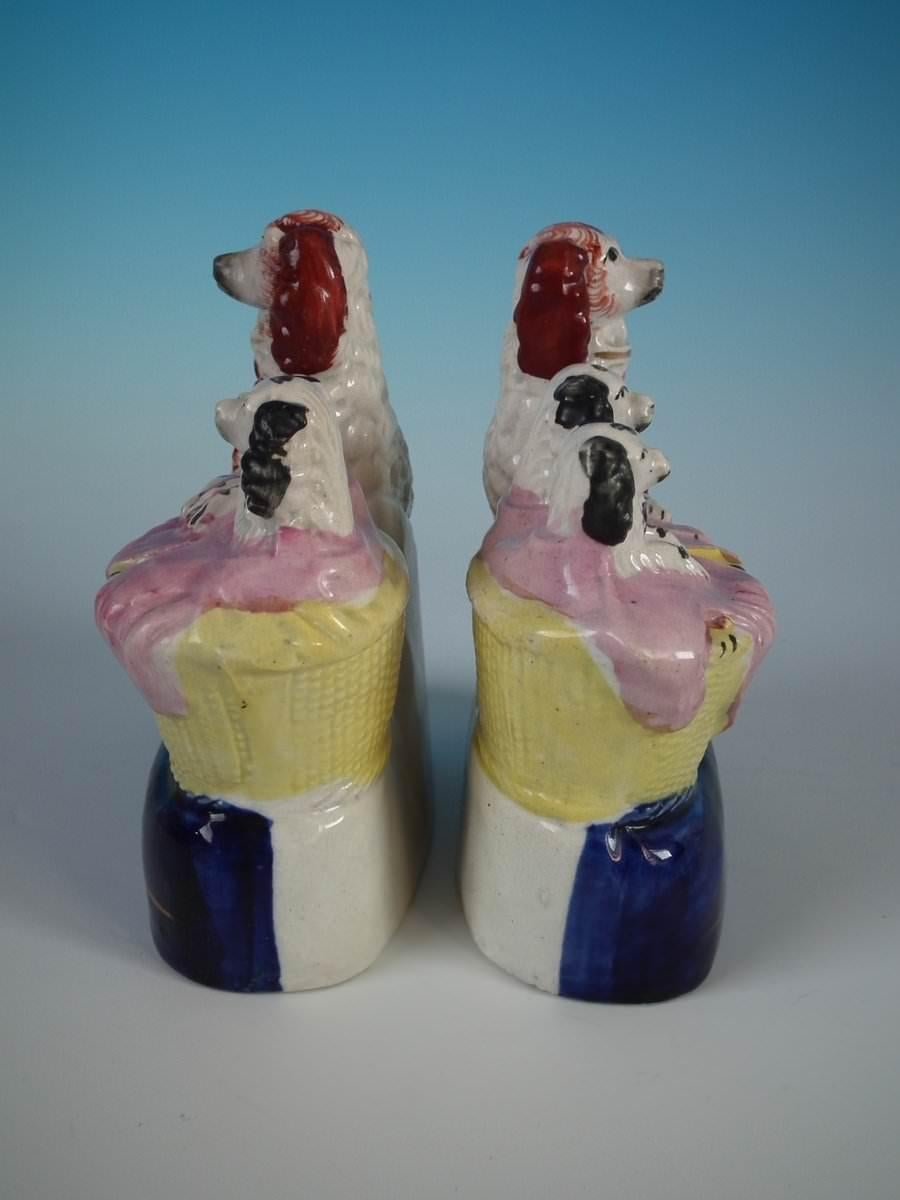English Pair of Staffordshire Spaniel and Pups in Wash Basket