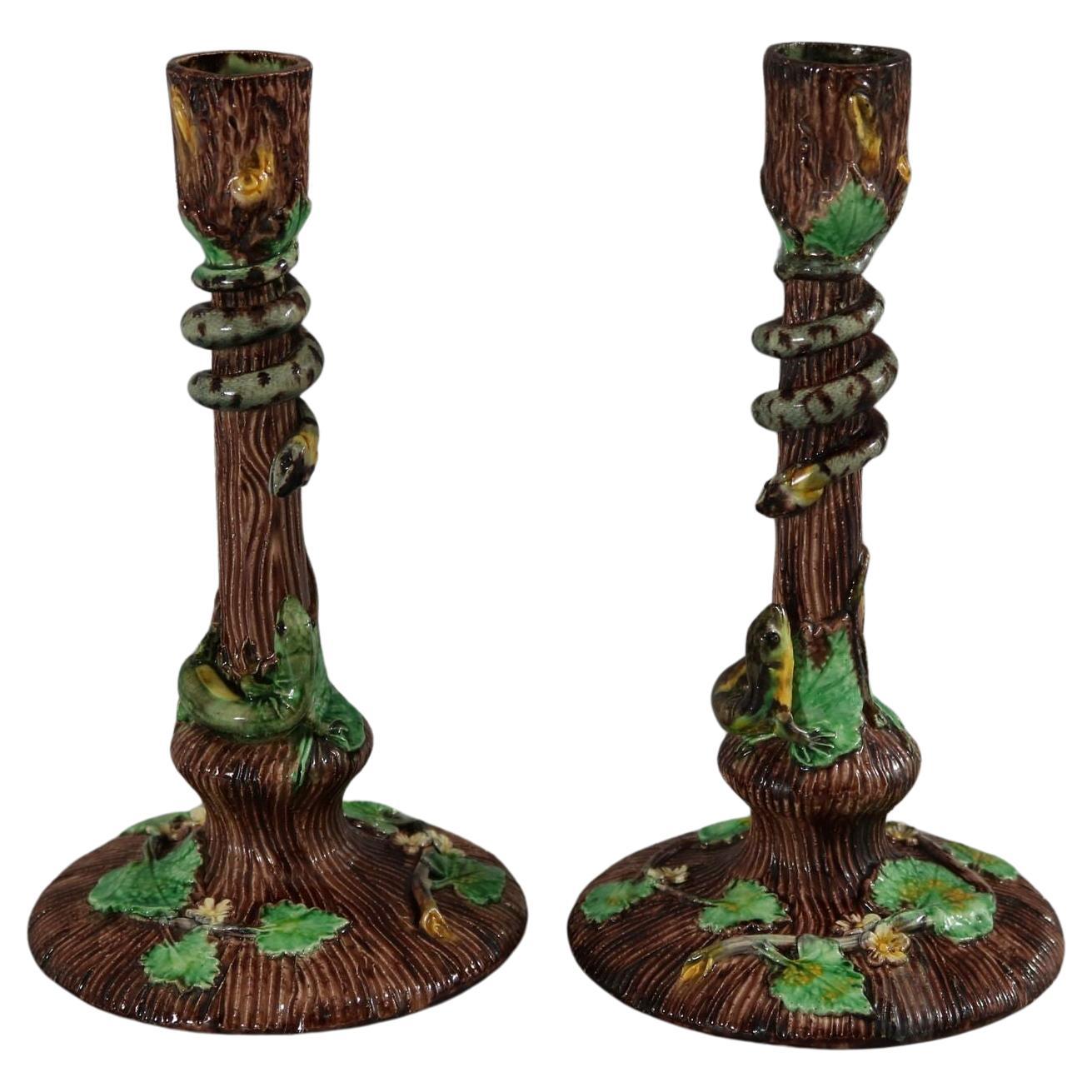 Pair Thomas Sergent Palissy Majolica Candlesticks For Sale