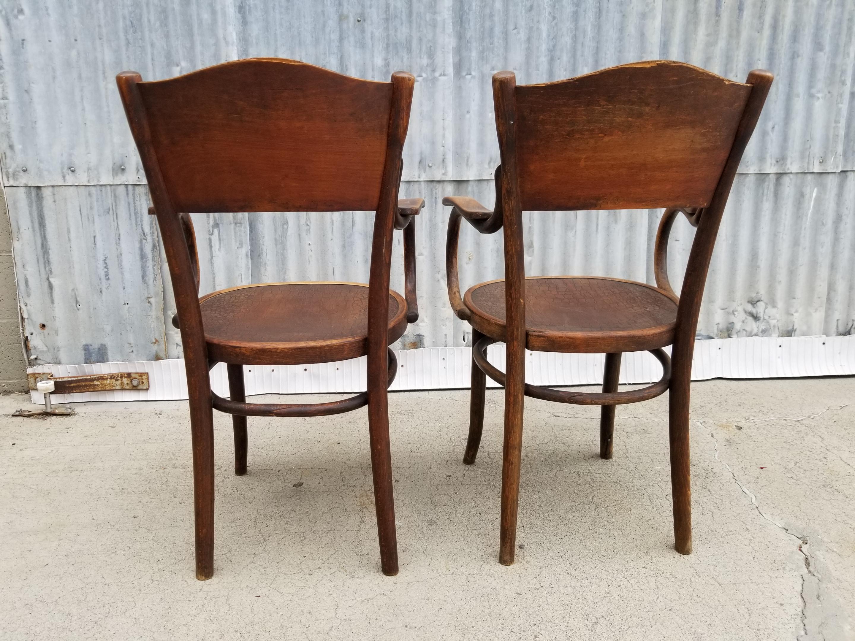 Polish Pair of Thonet Bentwood Chairs Early 20th Century