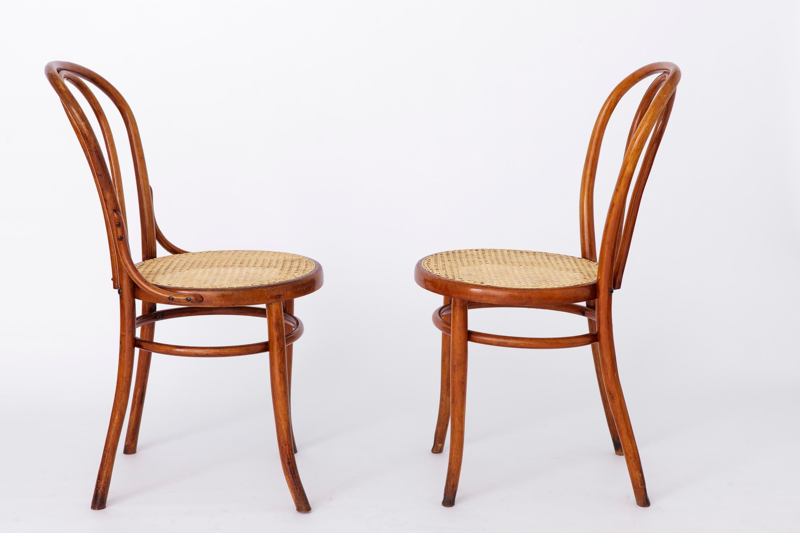 European Pair Thonet Style Chairs Bentwood 1950s Vintage For Sale
