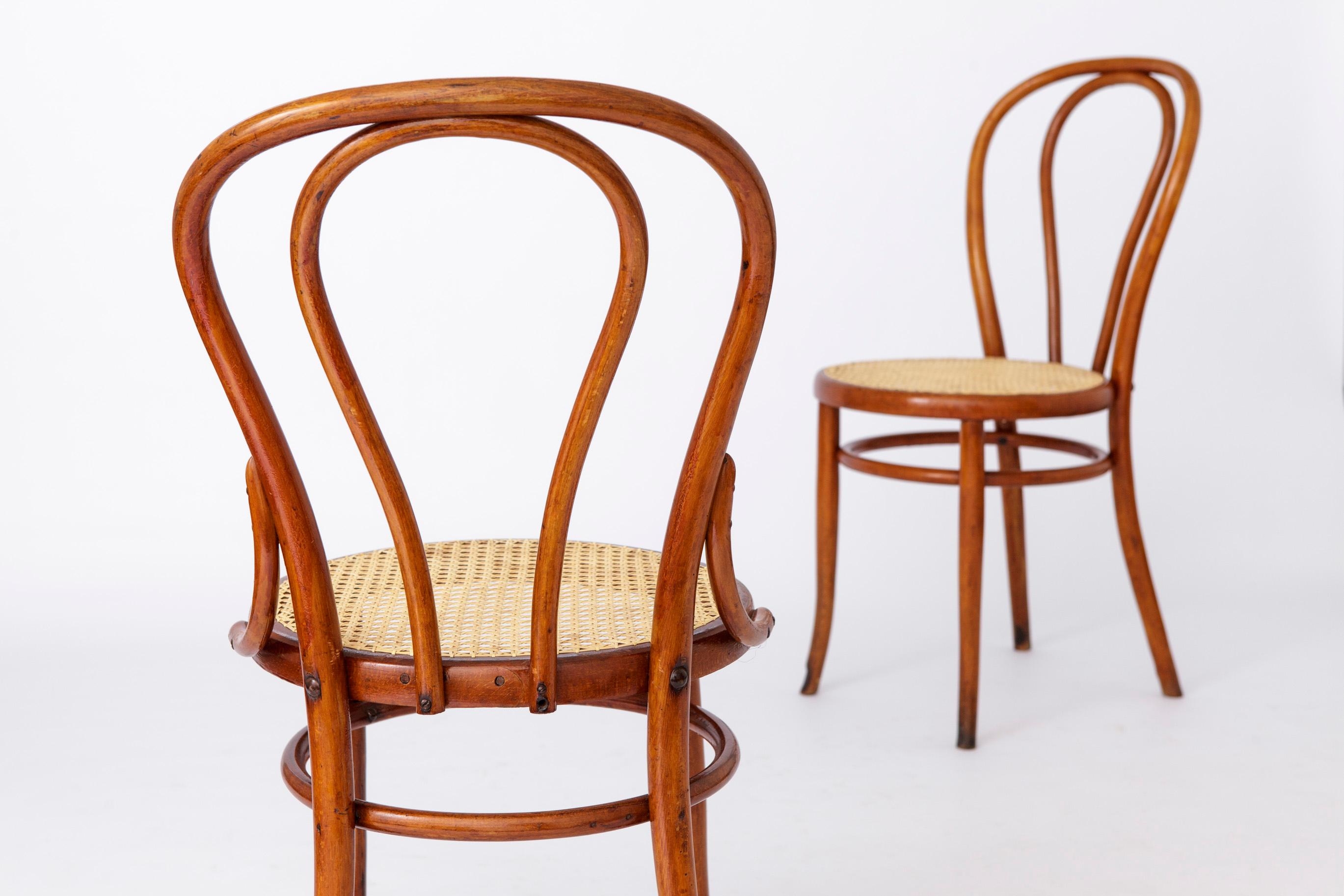 Polished Pair Thonet Style Chairs Bentwood 1950s Vintage For Sale