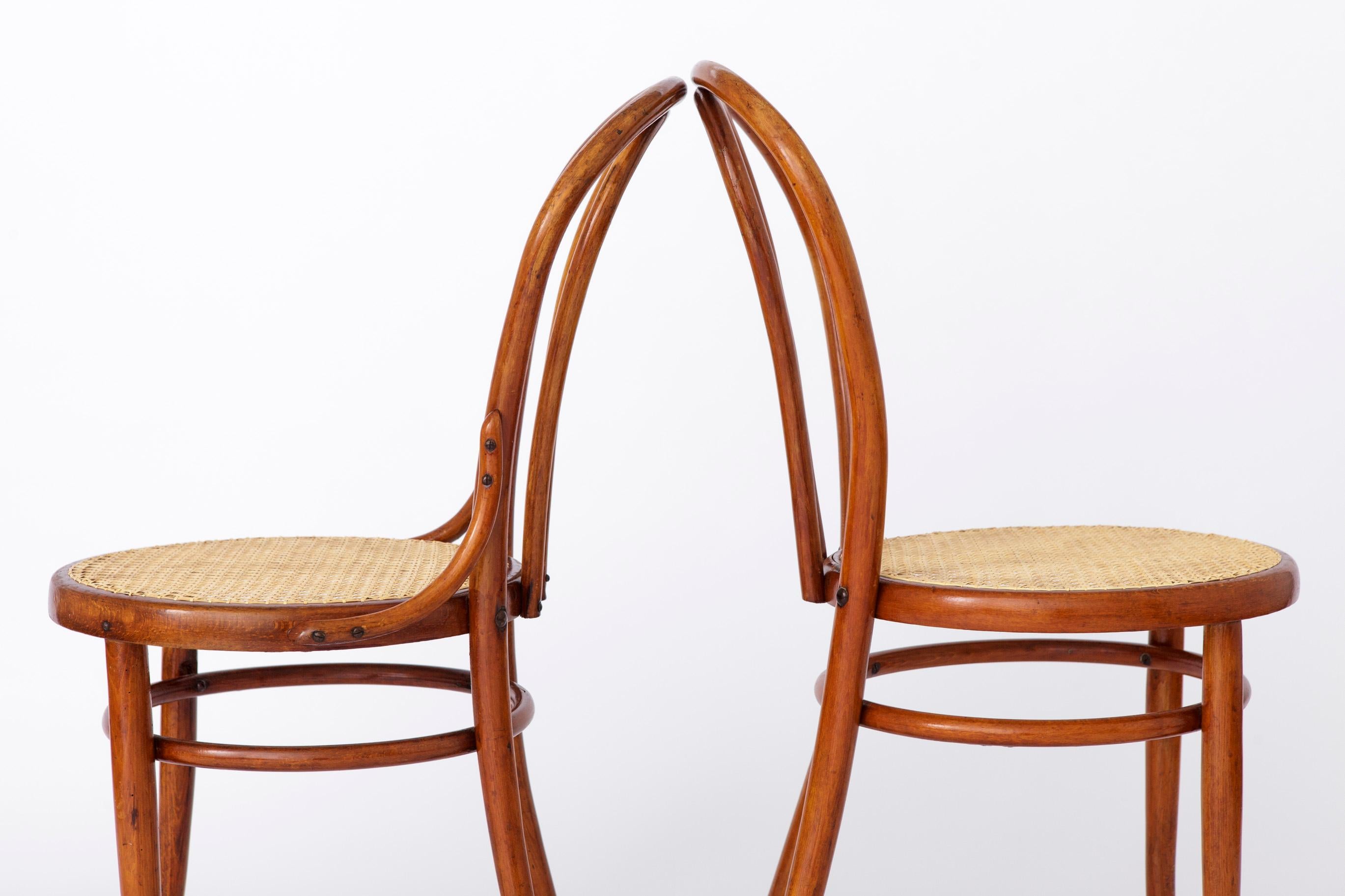 Pair Thonet Style Chairs Bentwood 1950s Vintage In Good Condition For Sale In Hannover, DE