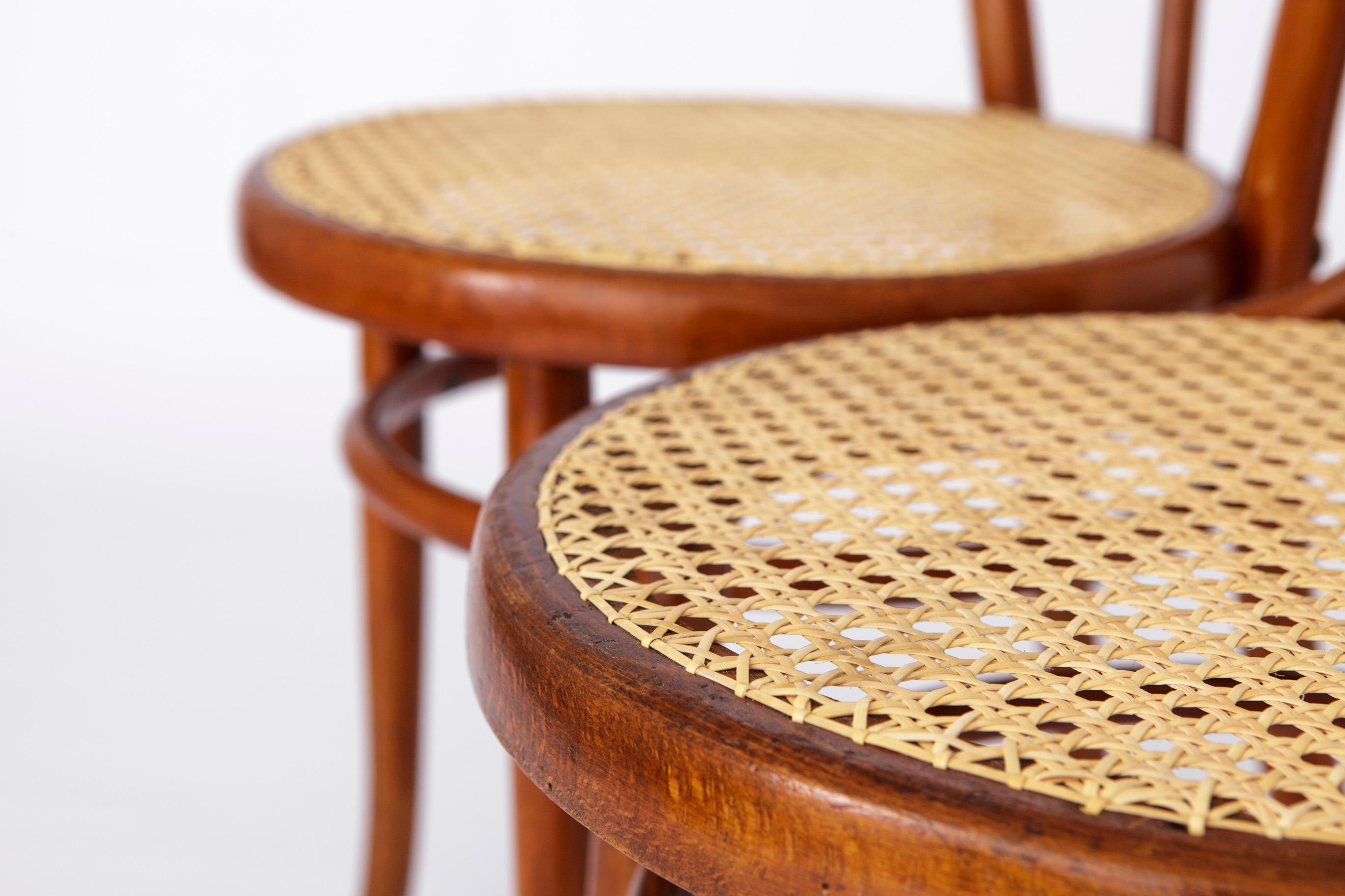 Pair Thonet Style Chairs Bentwood 1950s Vintage For Sale 1