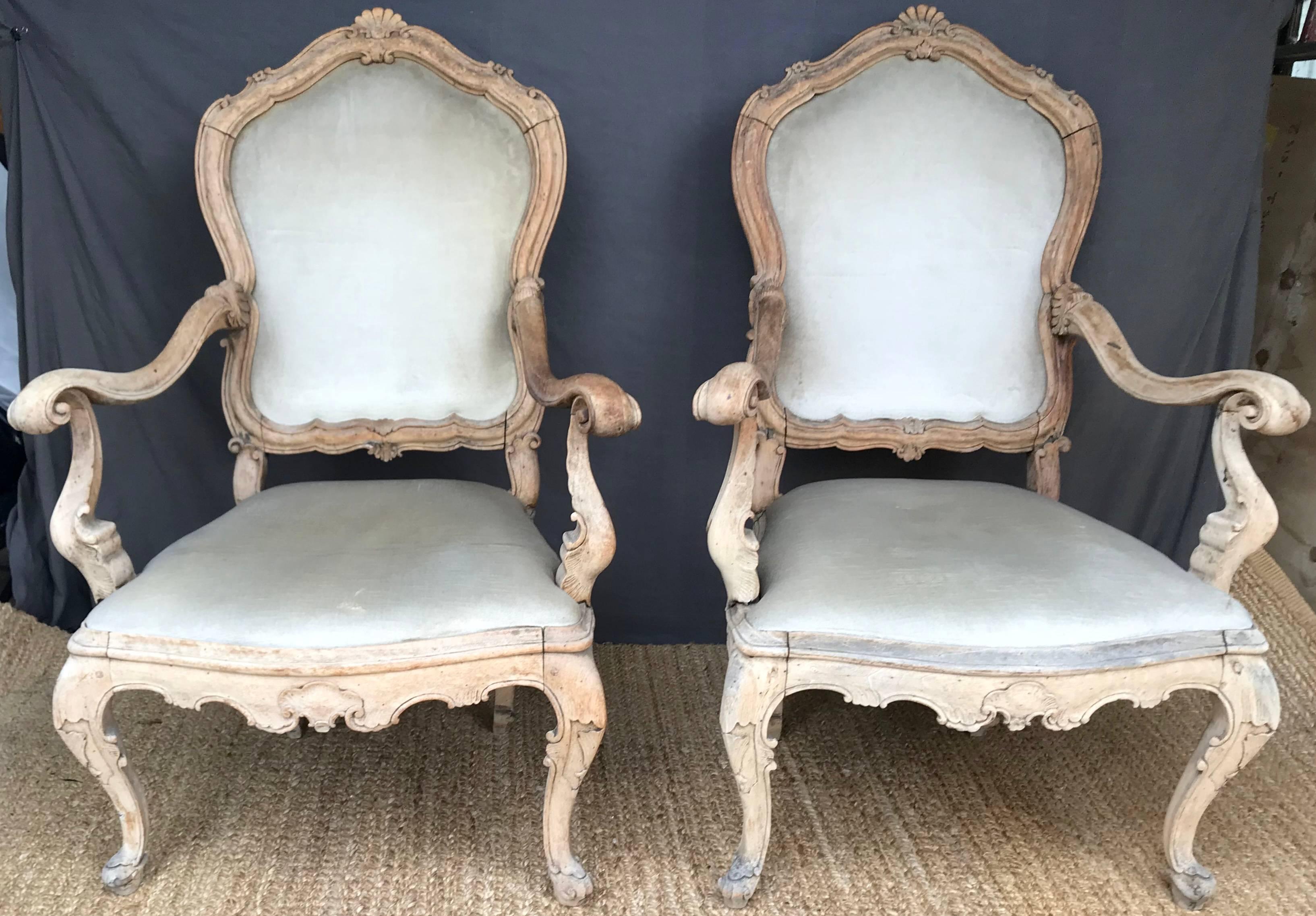 Pair bleached wood Venetian open armchairs. Pair exceptional Louis XV large Venetian carved armchairs in original natural bleached condition with vintage naturally faded silk velvet upholstery with shell carved back, out-scrolled arms, apron and