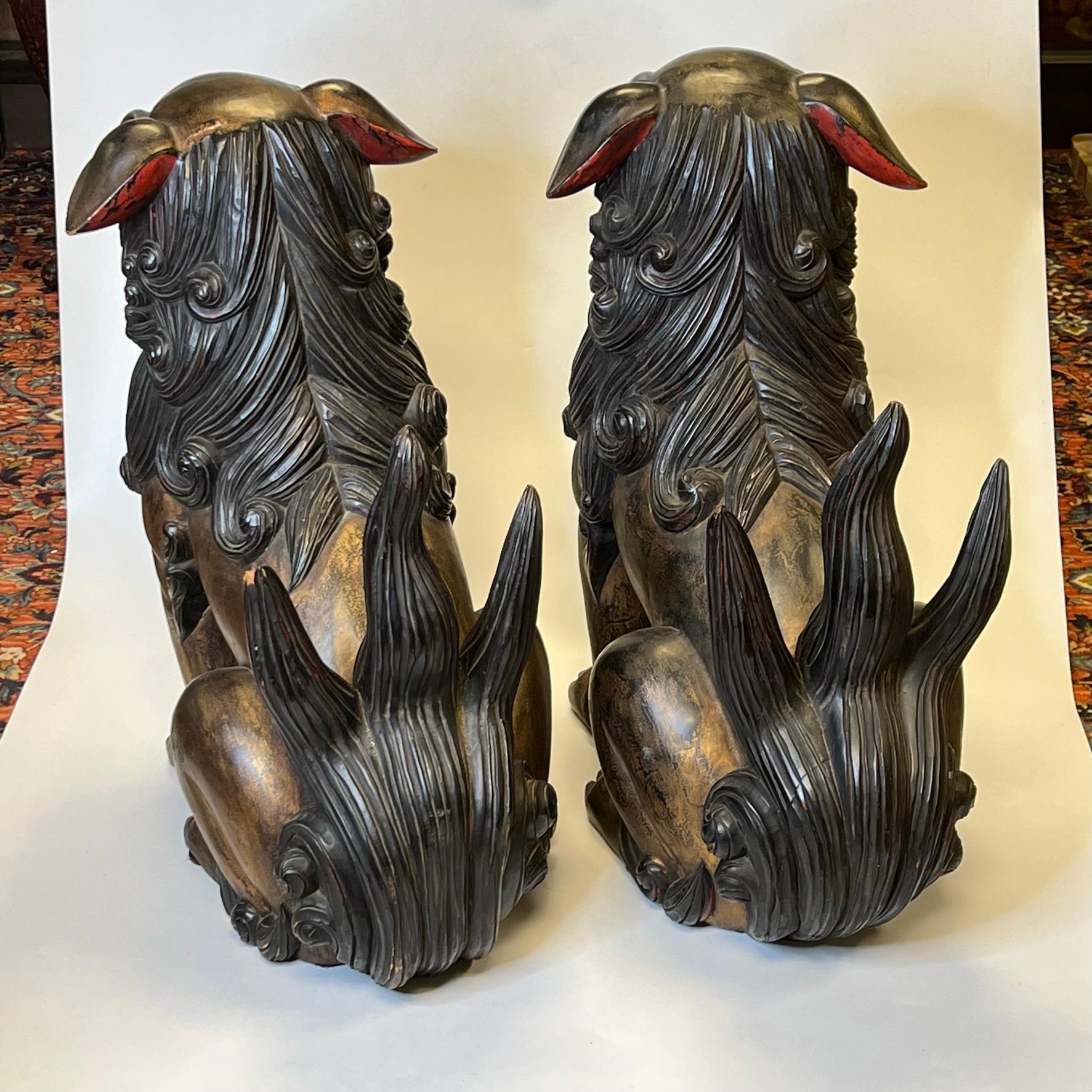 Pareja de leones Fu chinos o japoneses de madera tallada muy grandes en Bueno estado para la venta en New York, NY
