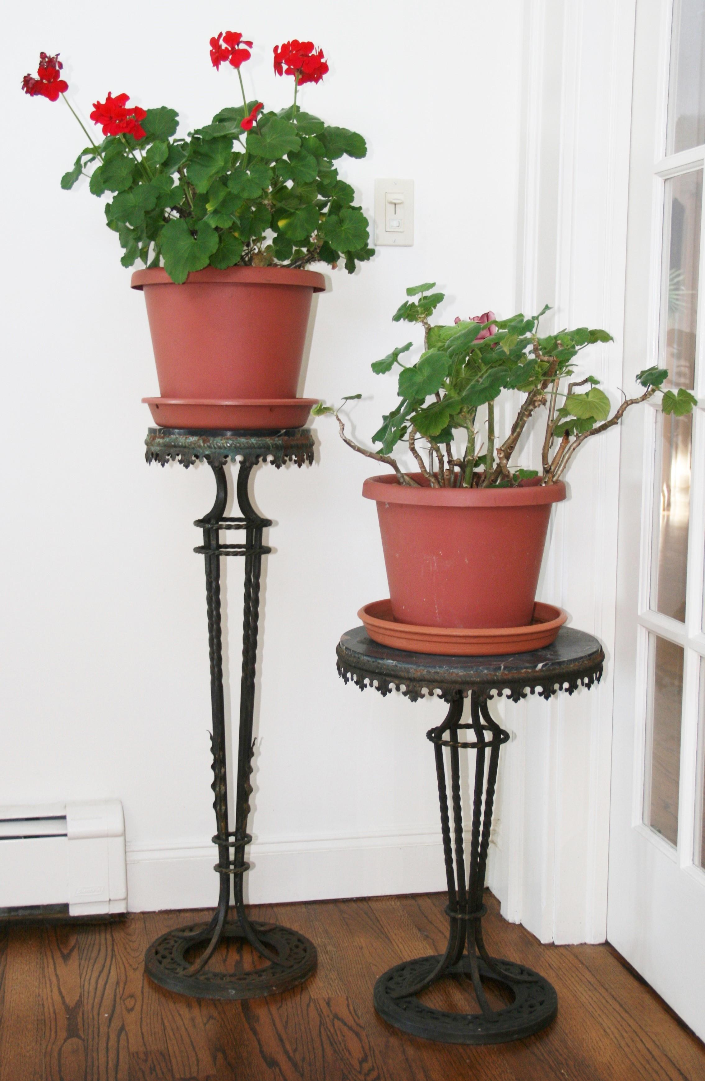 Pair Victorian Marble and Iron Plant StandsPedestals 1890 In Good Condition For Sale In Douglas Manor, NY