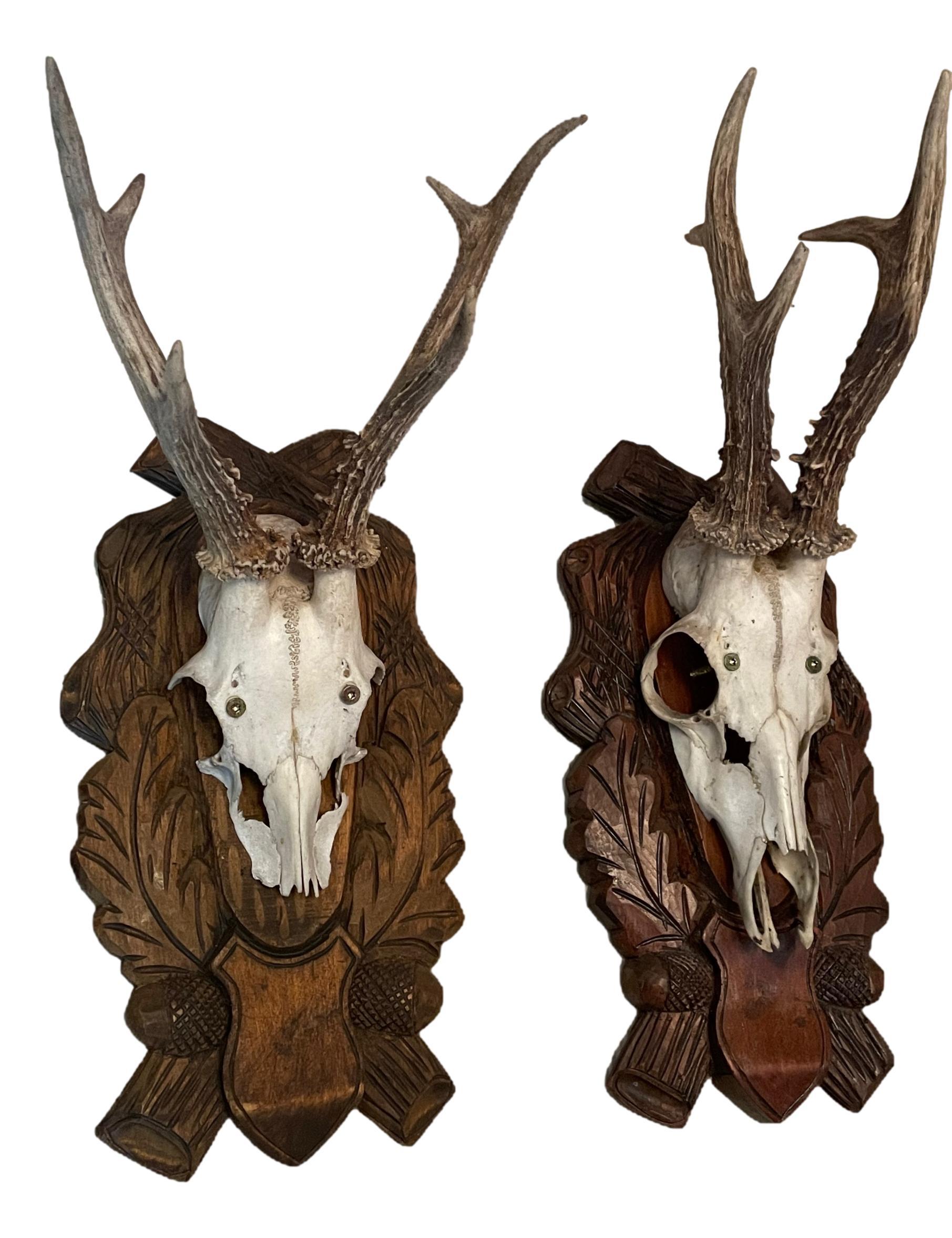 German Pair Vintage Black Forest Deer Antler Trophy Wood Carved Plaque, Austria