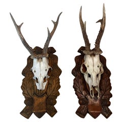 Pair Vintage Black Forest Deer Antler Trophy Wood Carved Plaque, Austria