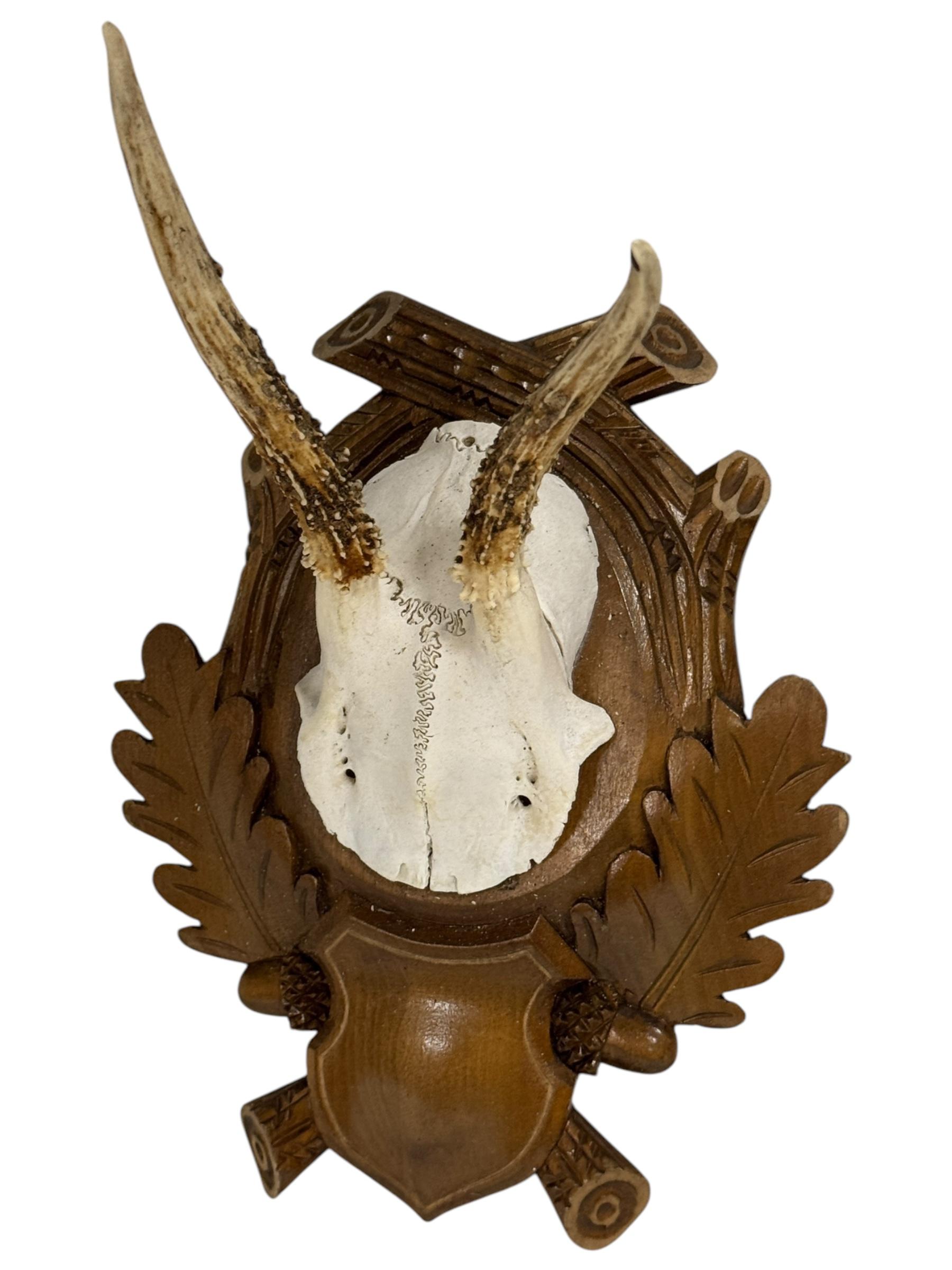 Paire de trophées en bois de cerf Black Forest, Allemagne, années 1930 en vente 2