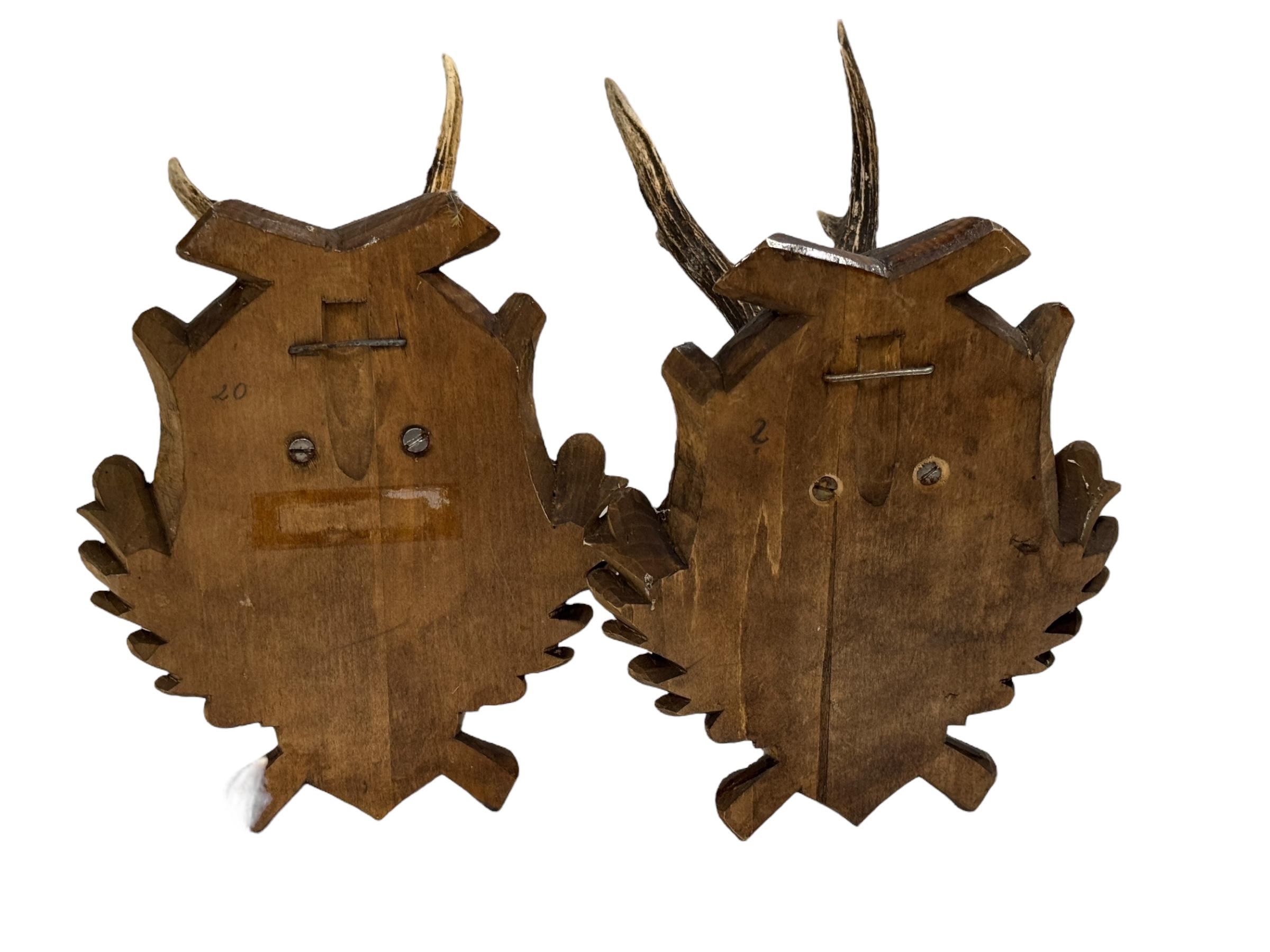 Paire de trophées en bois de cerf Black Forest, Allemagne, années 1930 en vente 6