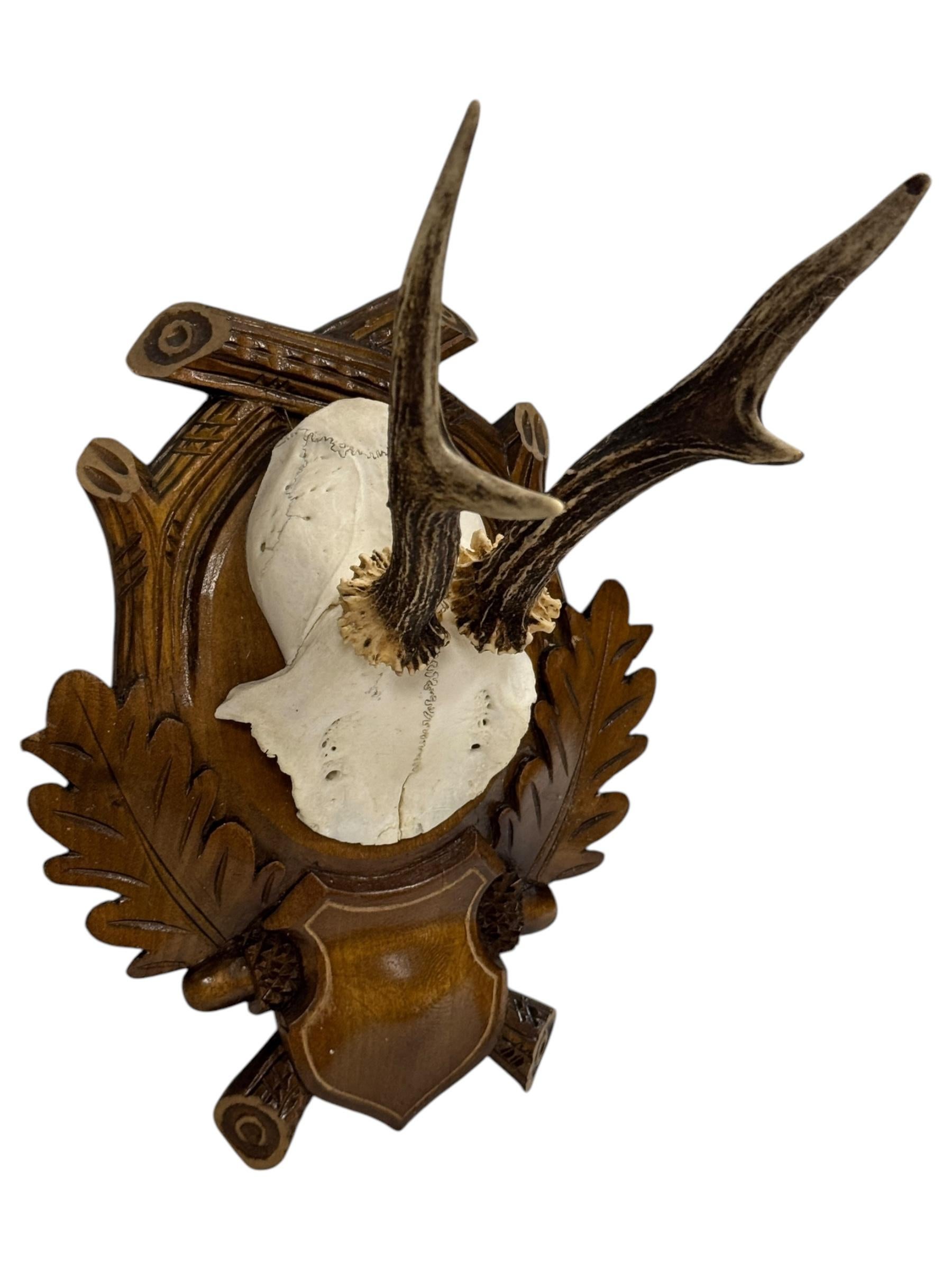 Sculpté à la main Paire de trophées en bois de cerf Black Forest, Allemagne, années 1930 en vente