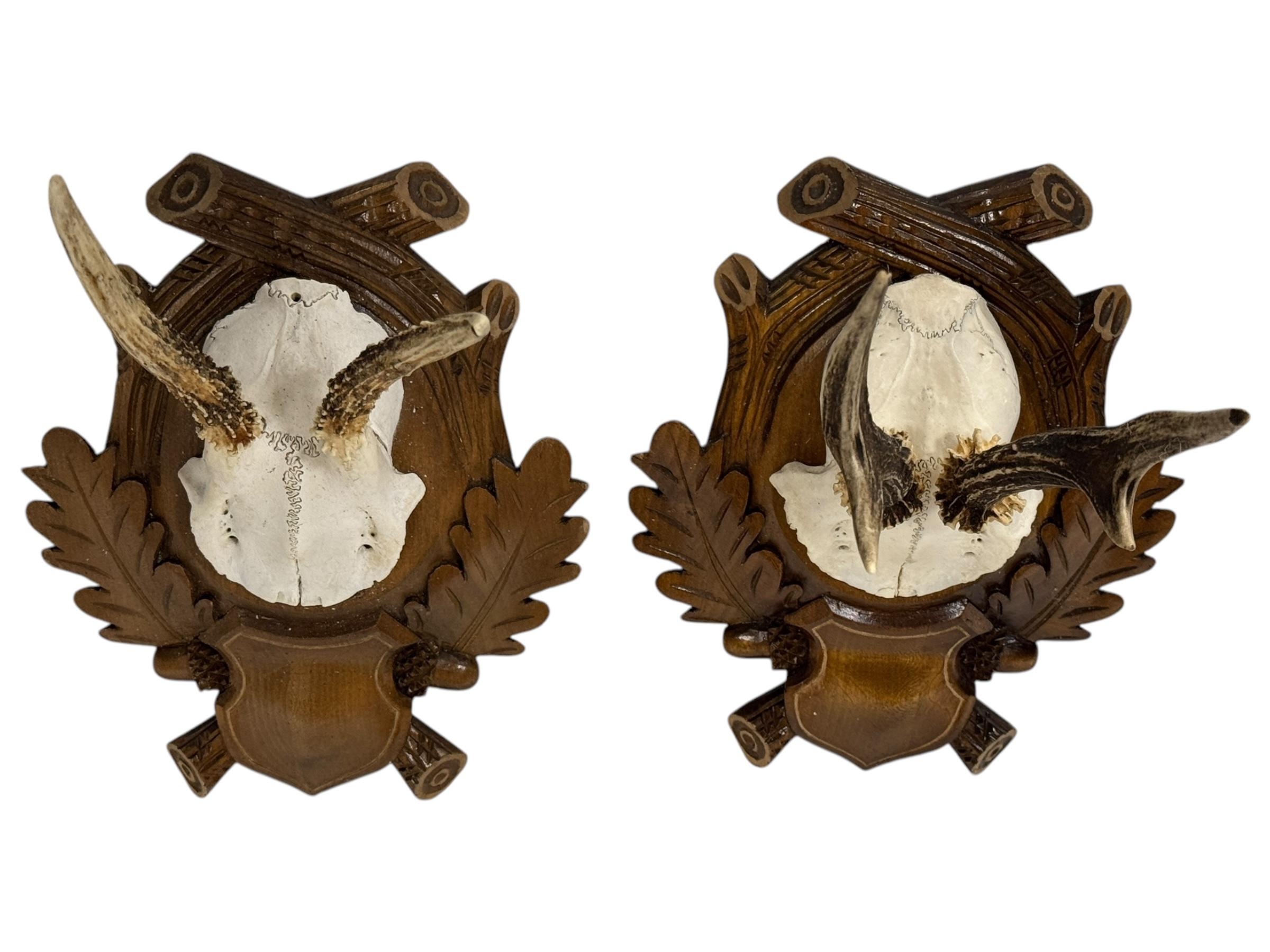 Paire de trophées en bois de cerf Black Forest, Allemagne, années 1930 Bon état - En vente à Nuernberg, DE