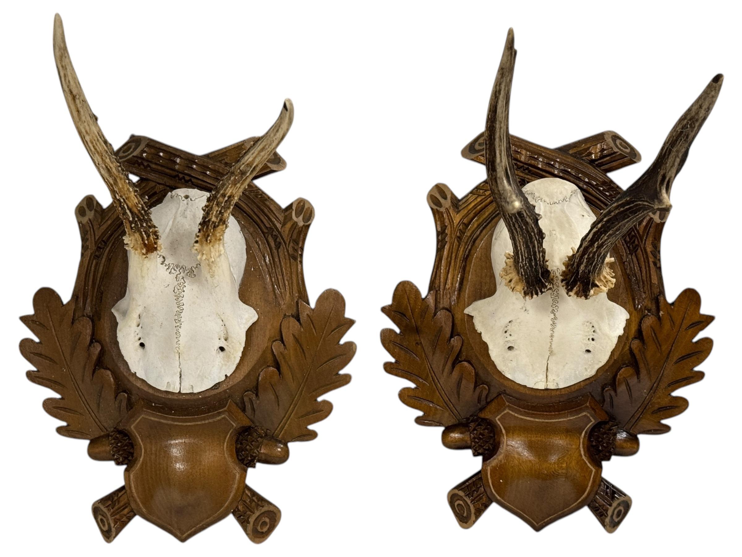 Bois cerf Paire de trophées en bois de cerf Black Forest, Allemagne, années 1930 en vente