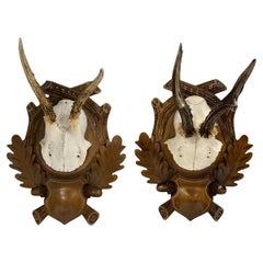 Pair Vintage Black Forest Deer Antler Trophy Wood Carved Plaque, Germany 1930s