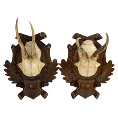 Pair Vintage Black Forest Deer Antler Trophy Wood Carved Plaque, Germany 1930s