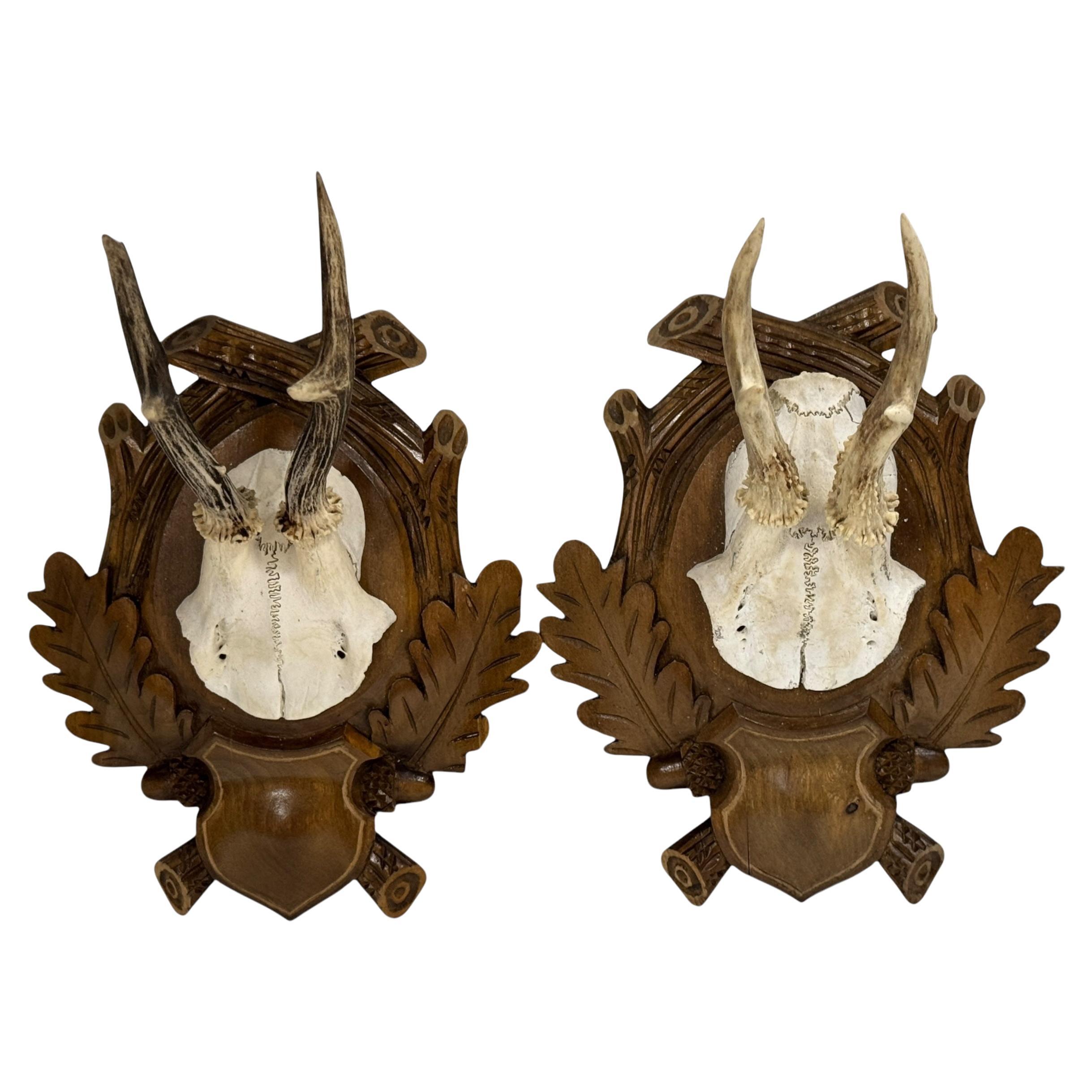 Pair Vintage Black Forest Deer Antler Trophy Wood Carved Plaque, Germany 1930s