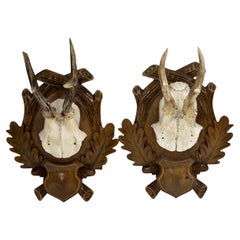 Pair Vintage Black Forest Deer Antler Trophy Wood Carved Plaque, Germany 1930s